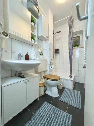 Complete All Inclusive Apartment+Netflix