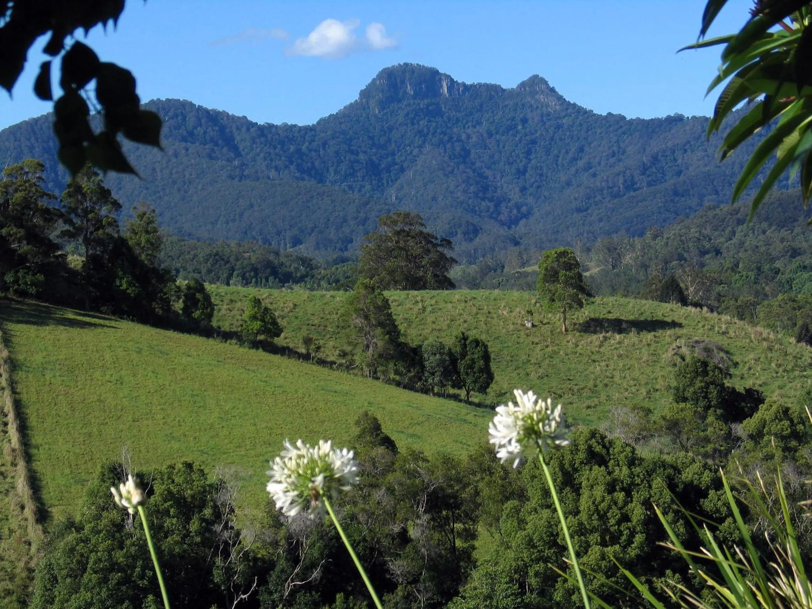 Mountain view in Hillcrest Mountain View Retreat