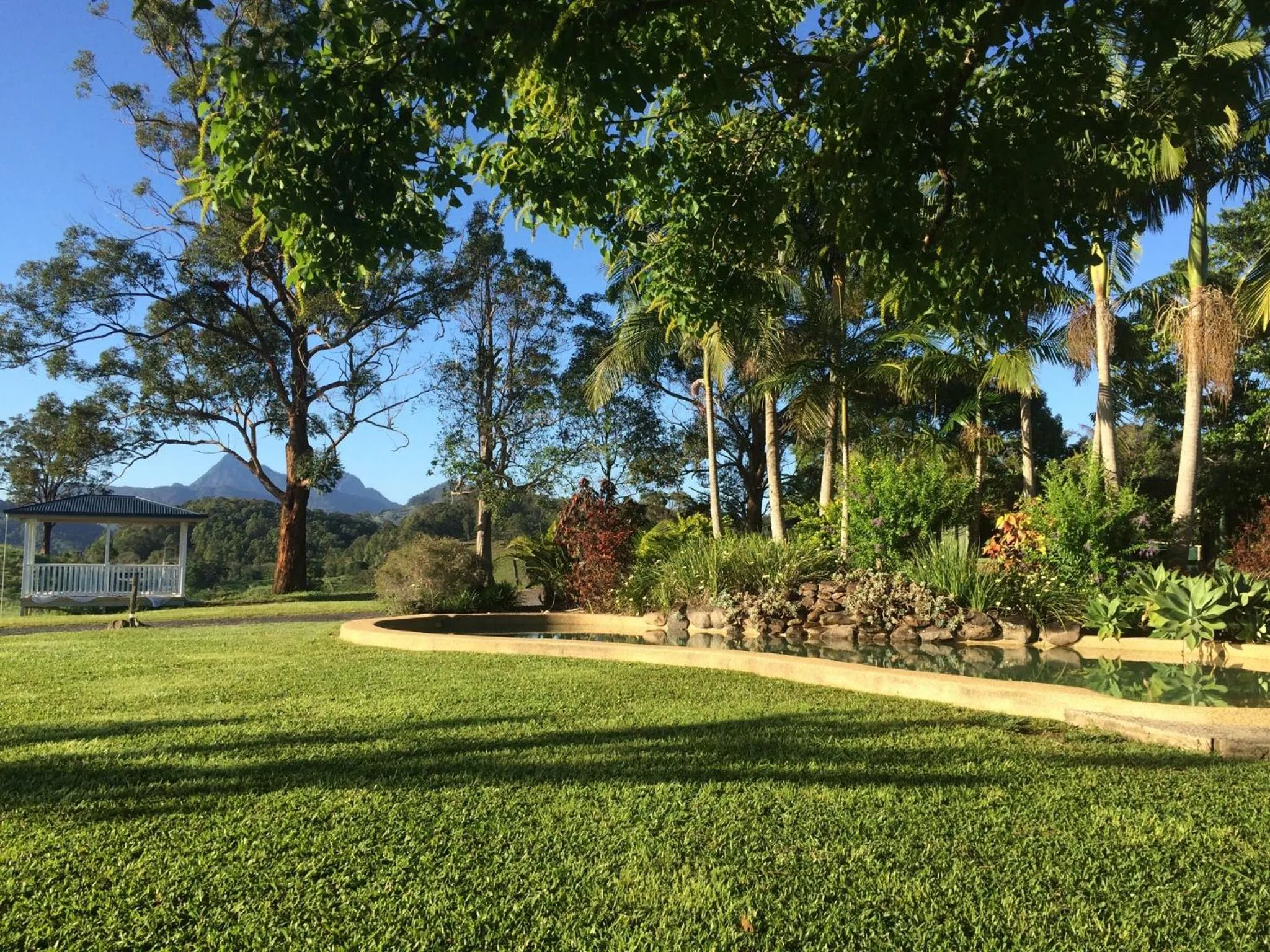 Garden in Hillcrest Mountain View Retreat