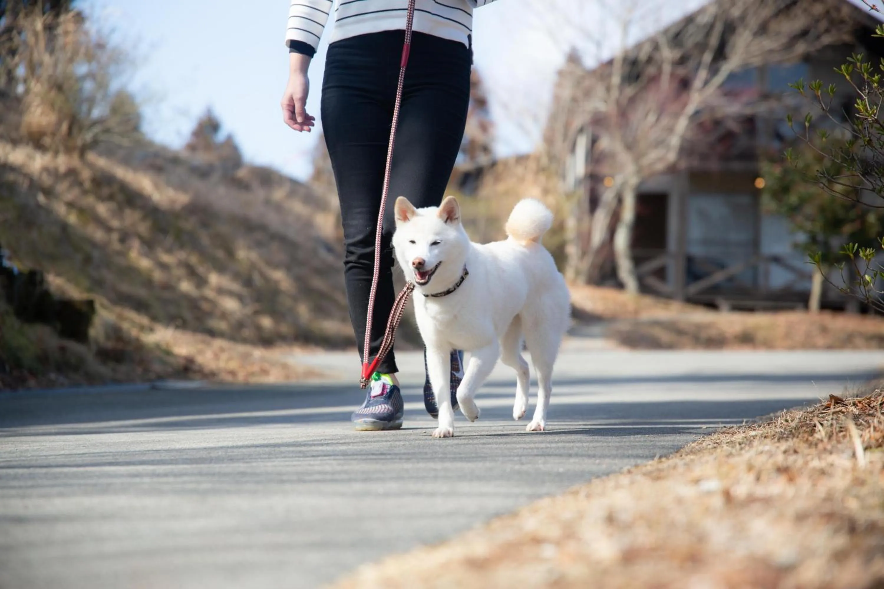 Day in Hanare no Yado Hanagokoro
