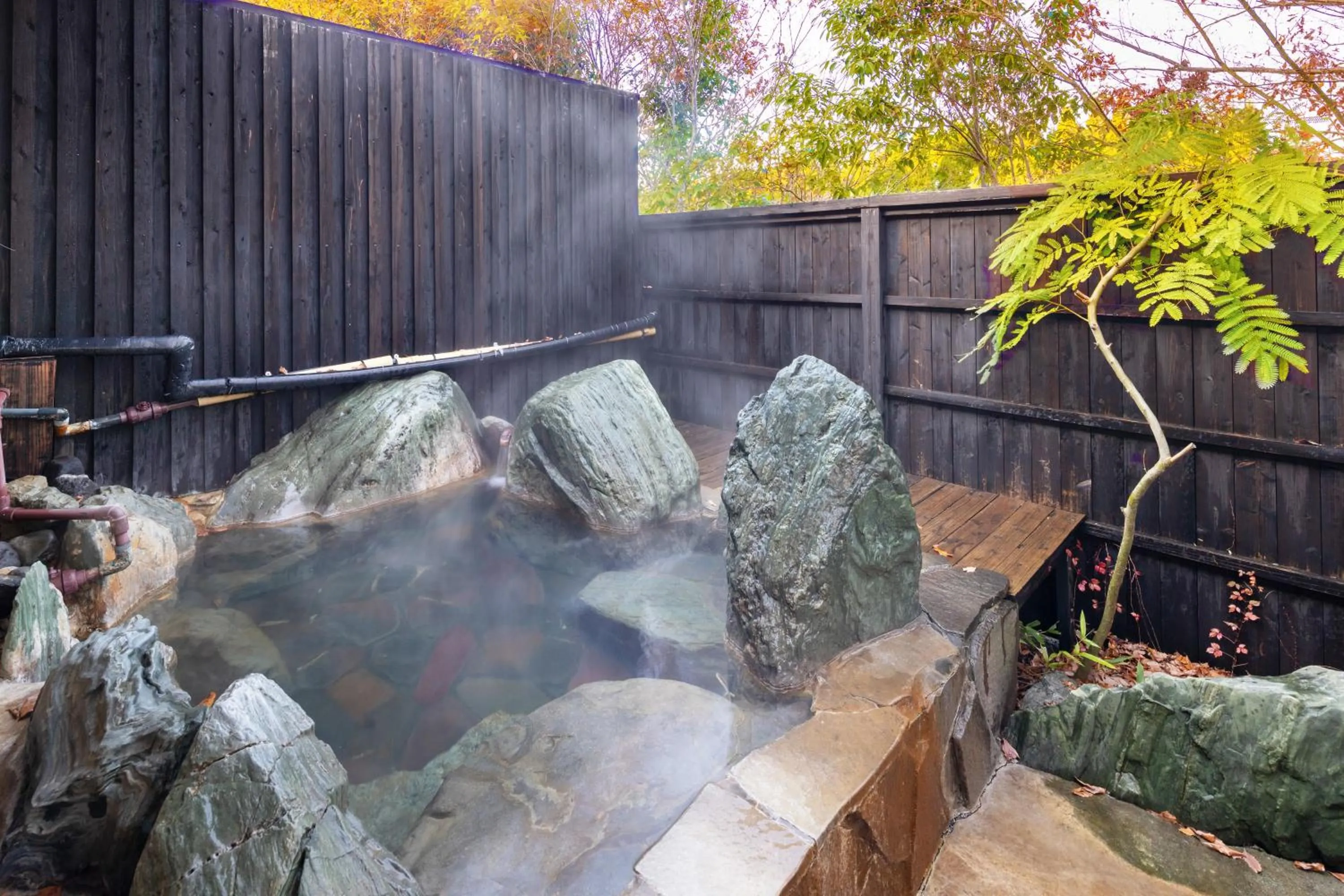 Hot Spring Bath in Hanare no Yado Hanagokoro