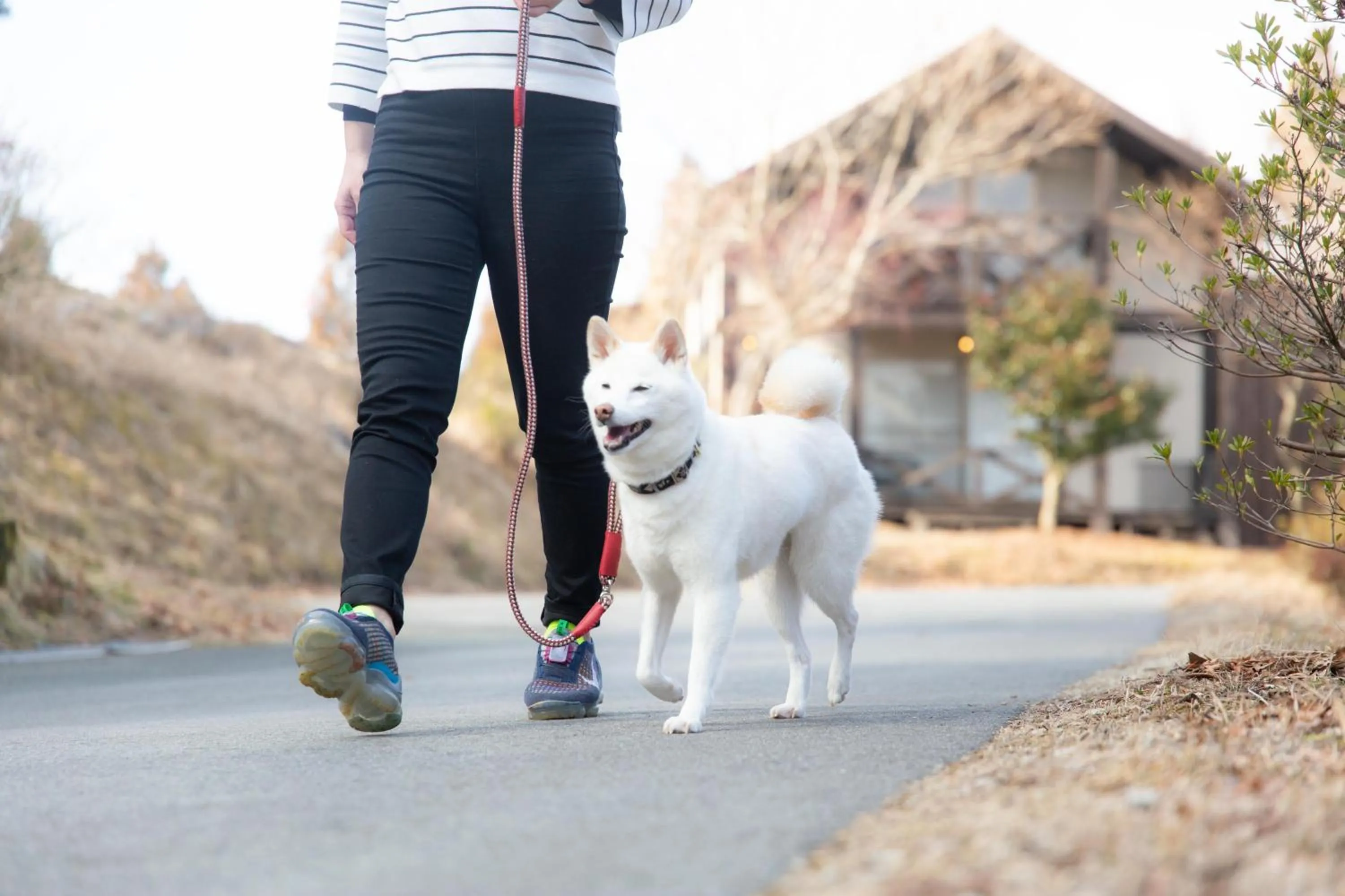 Day in Hanare no Yado Hanagokoro