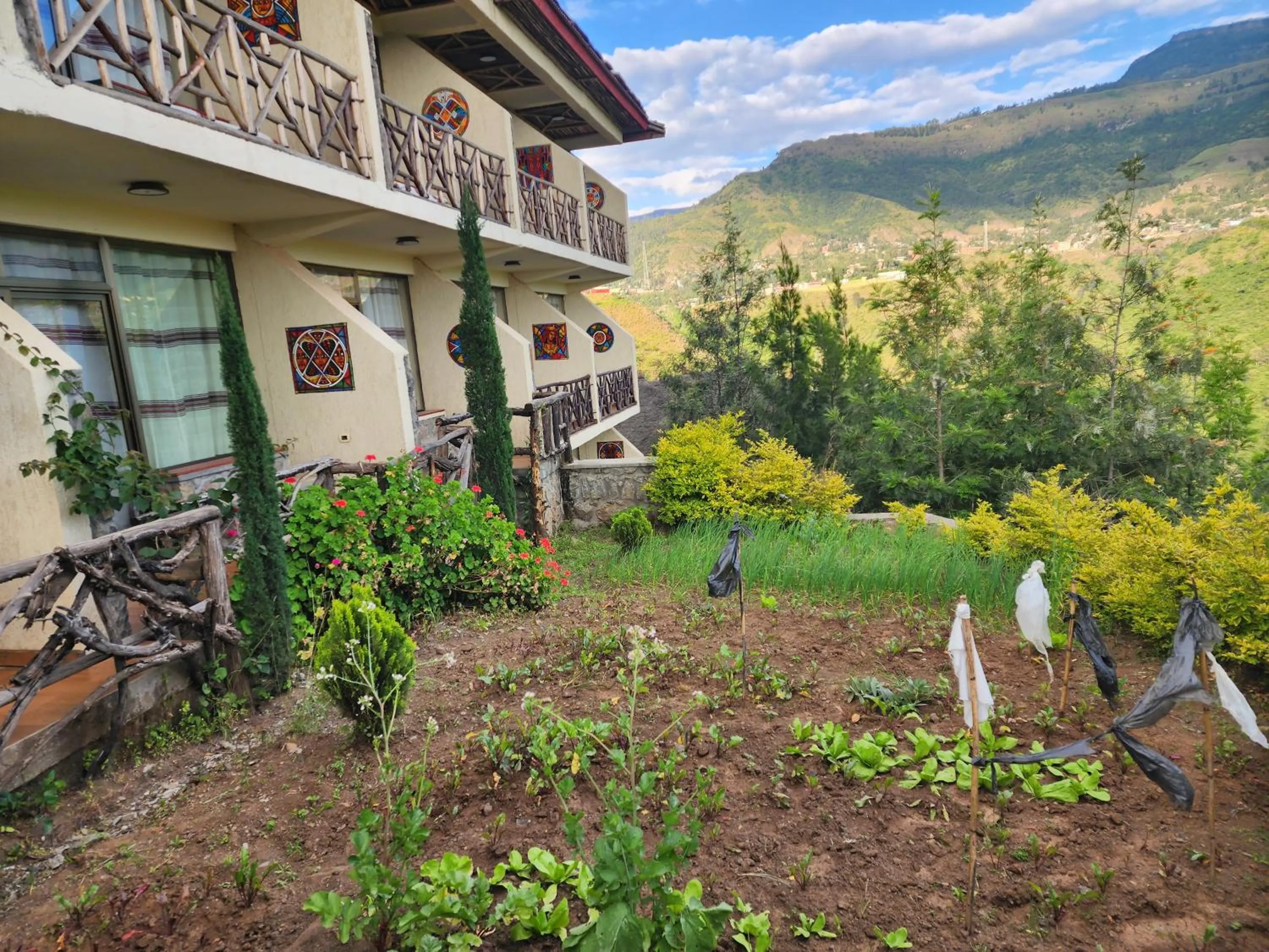Garden in Sora Lodge Lalibela