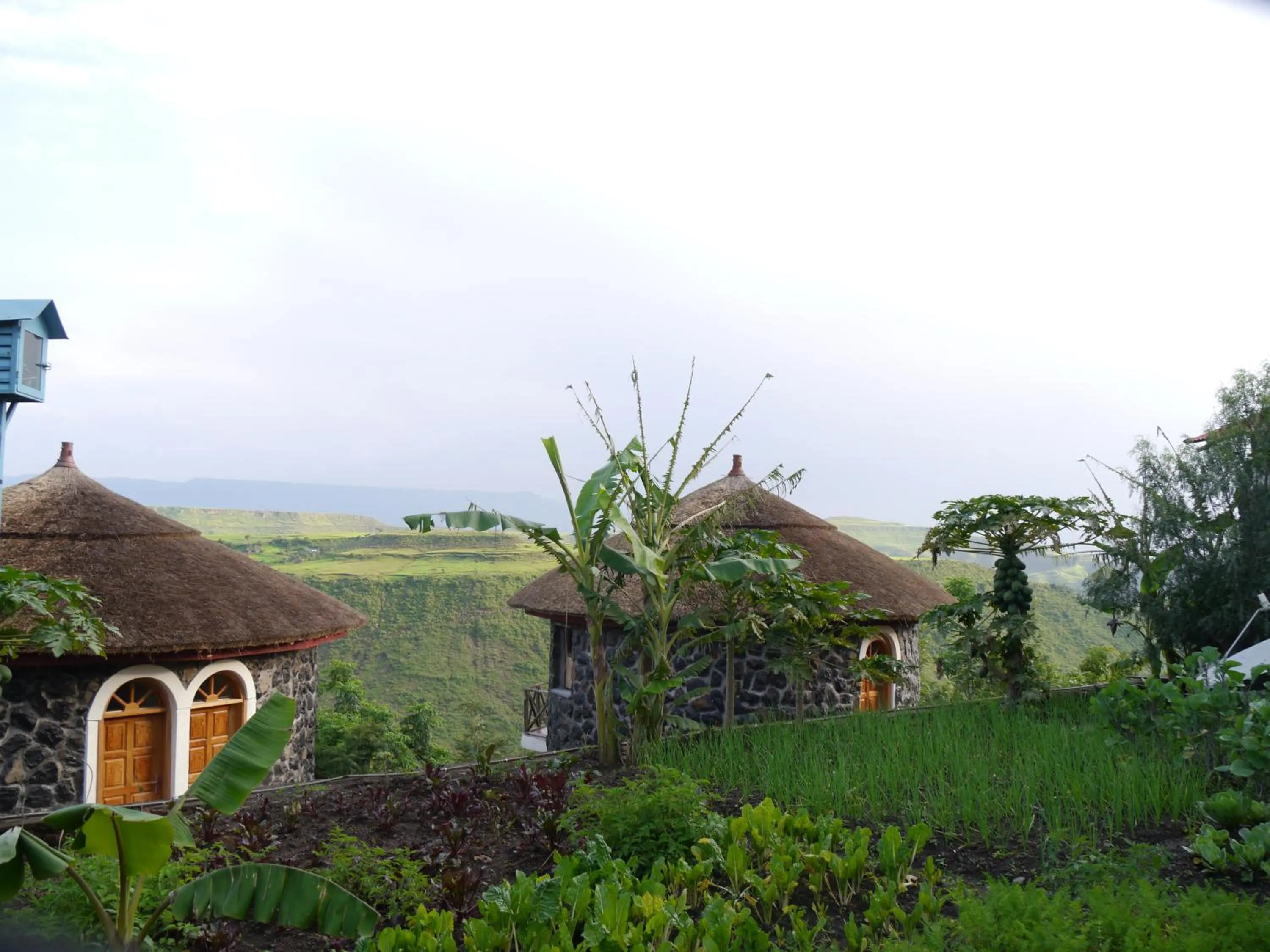 Garden in Sora Lodge Lalibela