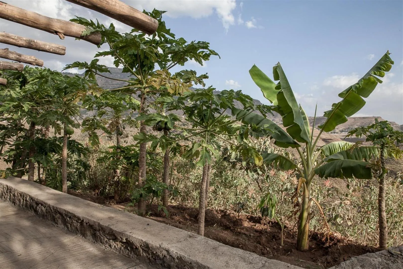 Natural landscape in Sora Lodge Lalibela