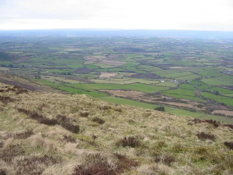 Activities in Mount Leinster View