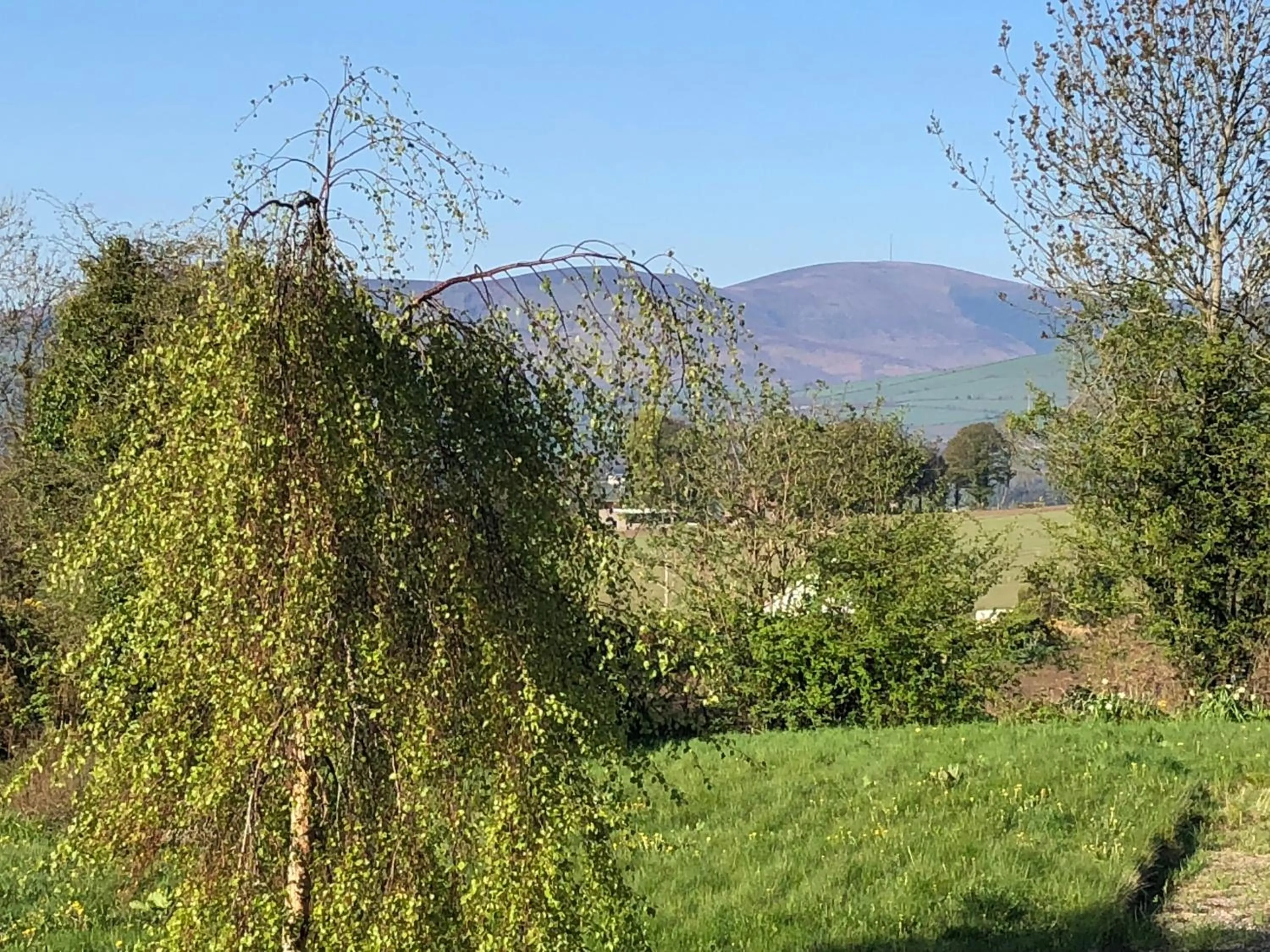 Area and facilities in Mount Leinster View