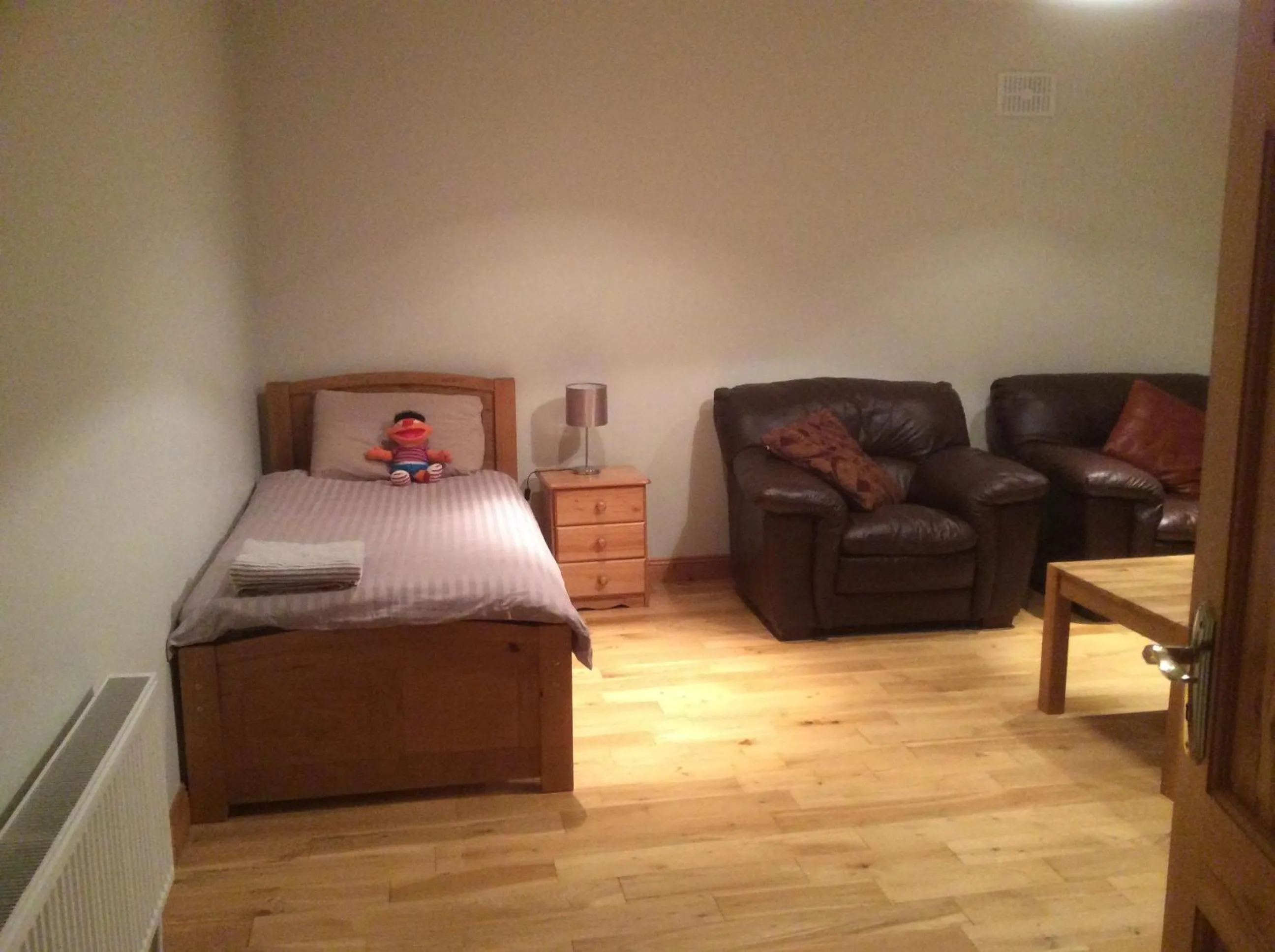 Living room, Bed in Mount Leinster View