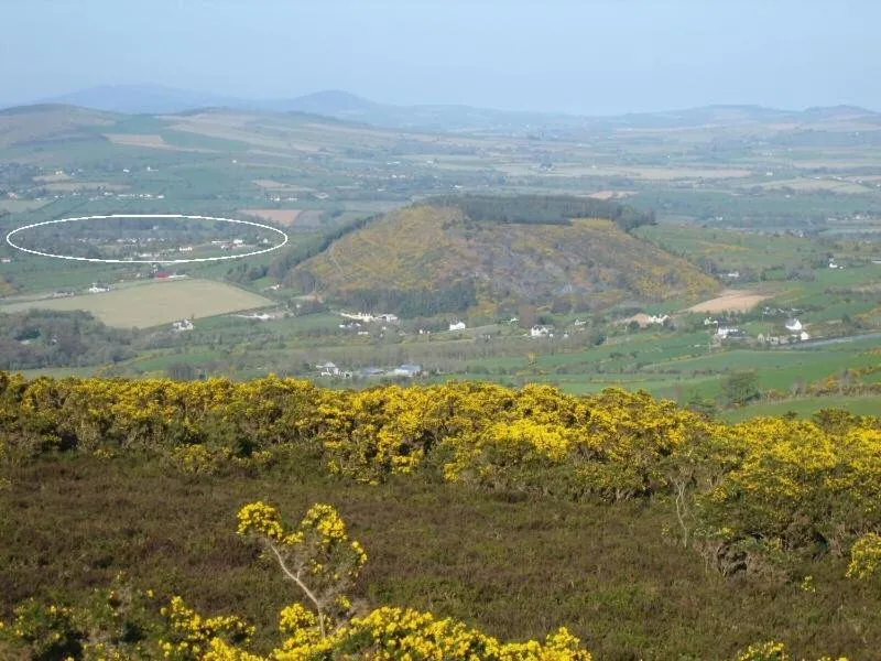 Mountain view in Mount Leinster View