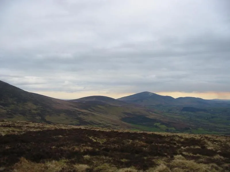 Mountain view in Mount Leinster View