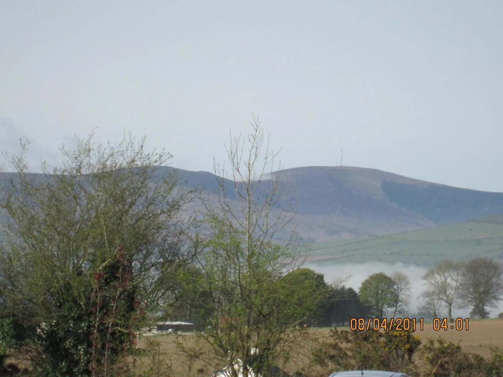 Natural landscape in Mount Leinster View