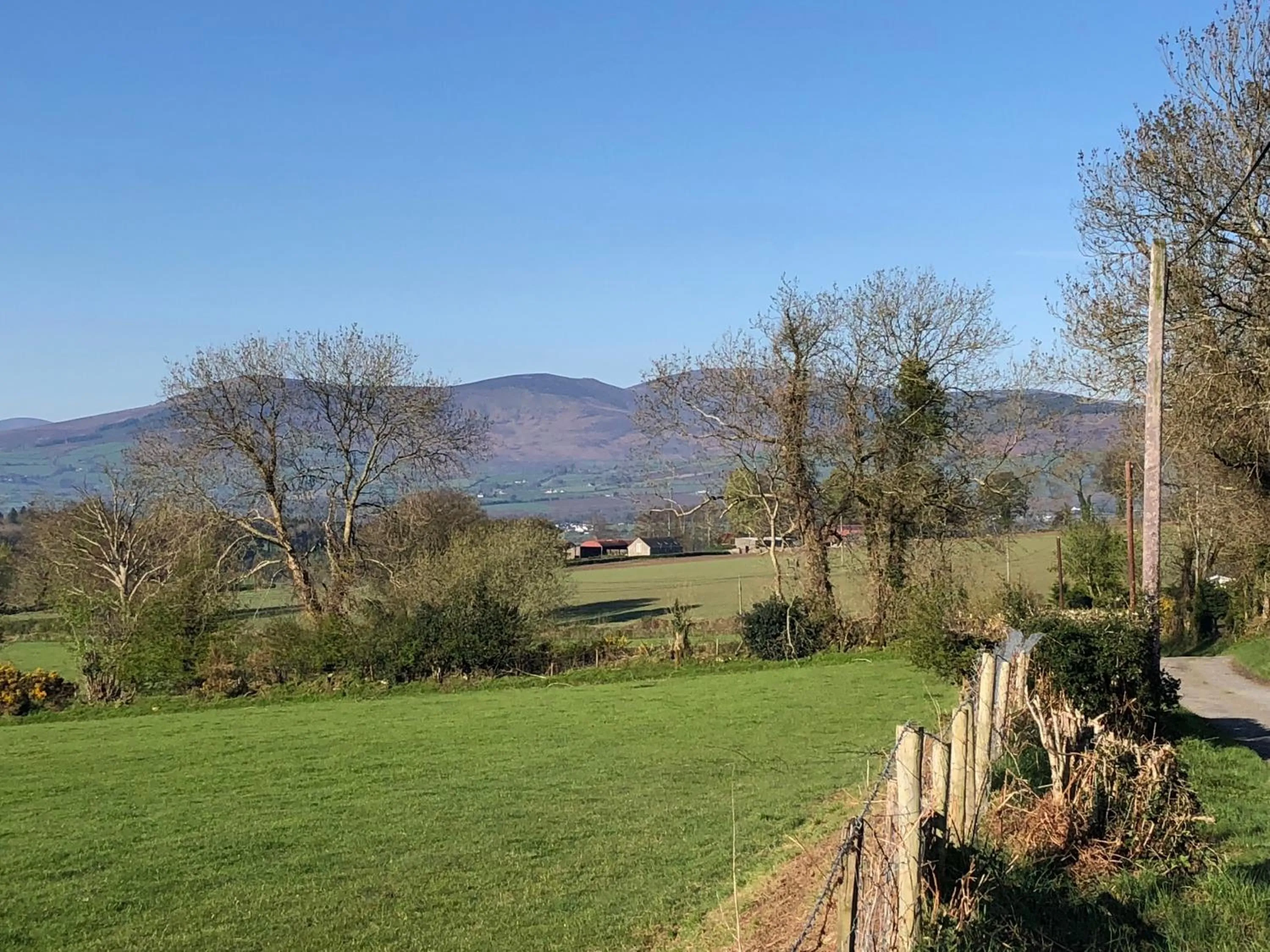 Nearby landmark in Mount Leinster View