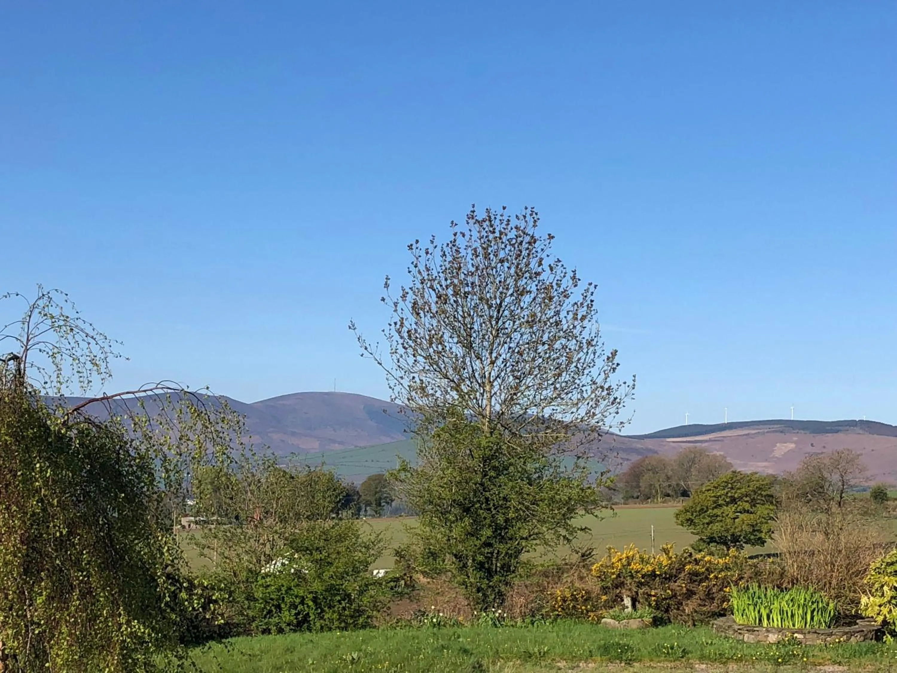 Landmark view in Mount Leinster View