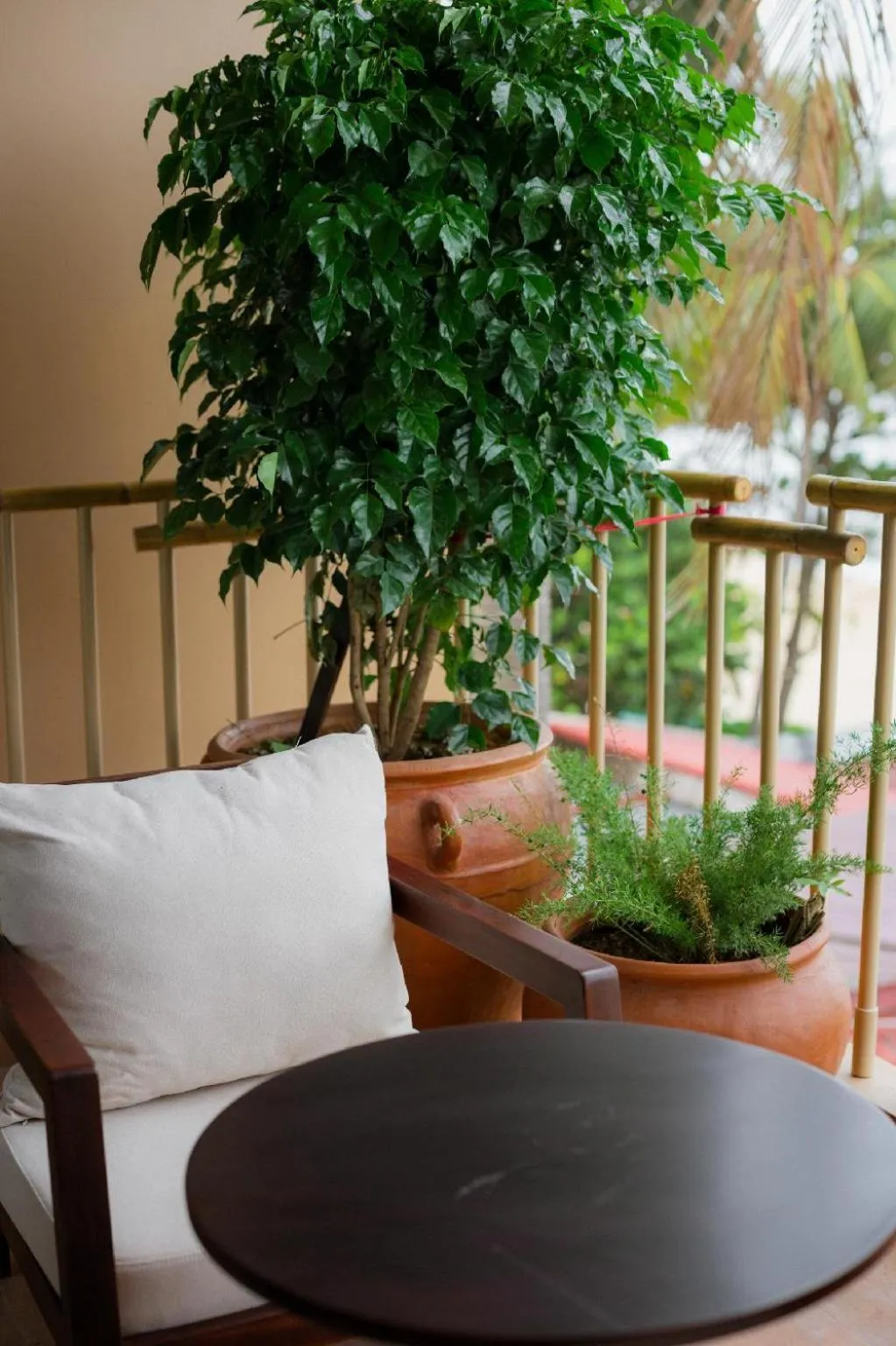 Balcony/Terrace in Pandora Sand Hill Mũi Né Resort