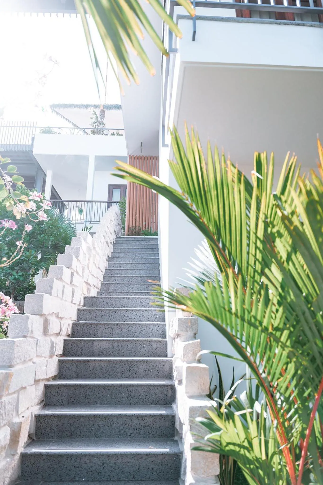 Other in Pandora Sand Hill Mũi Né Resort