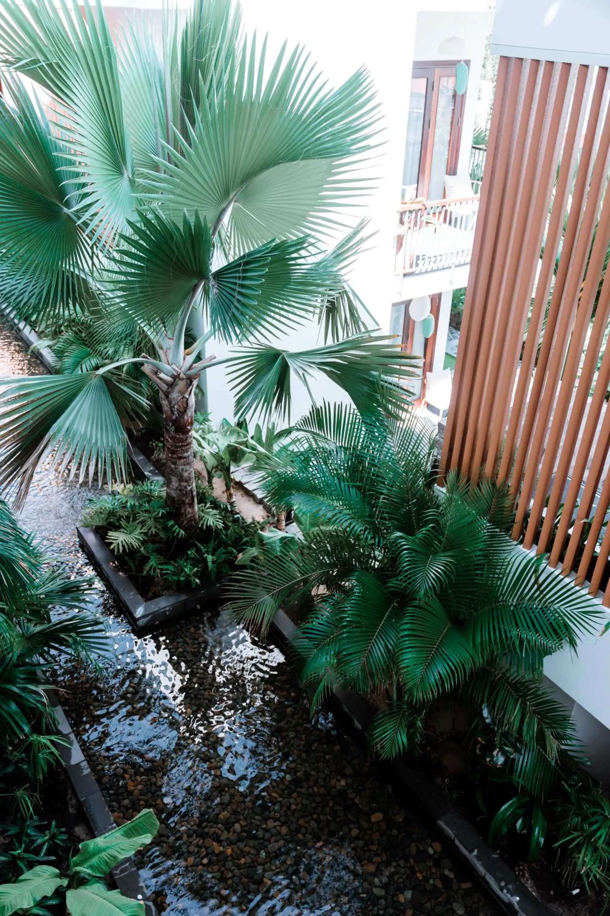 Garden view in Pandora Sand Hill Mũi Né Resort