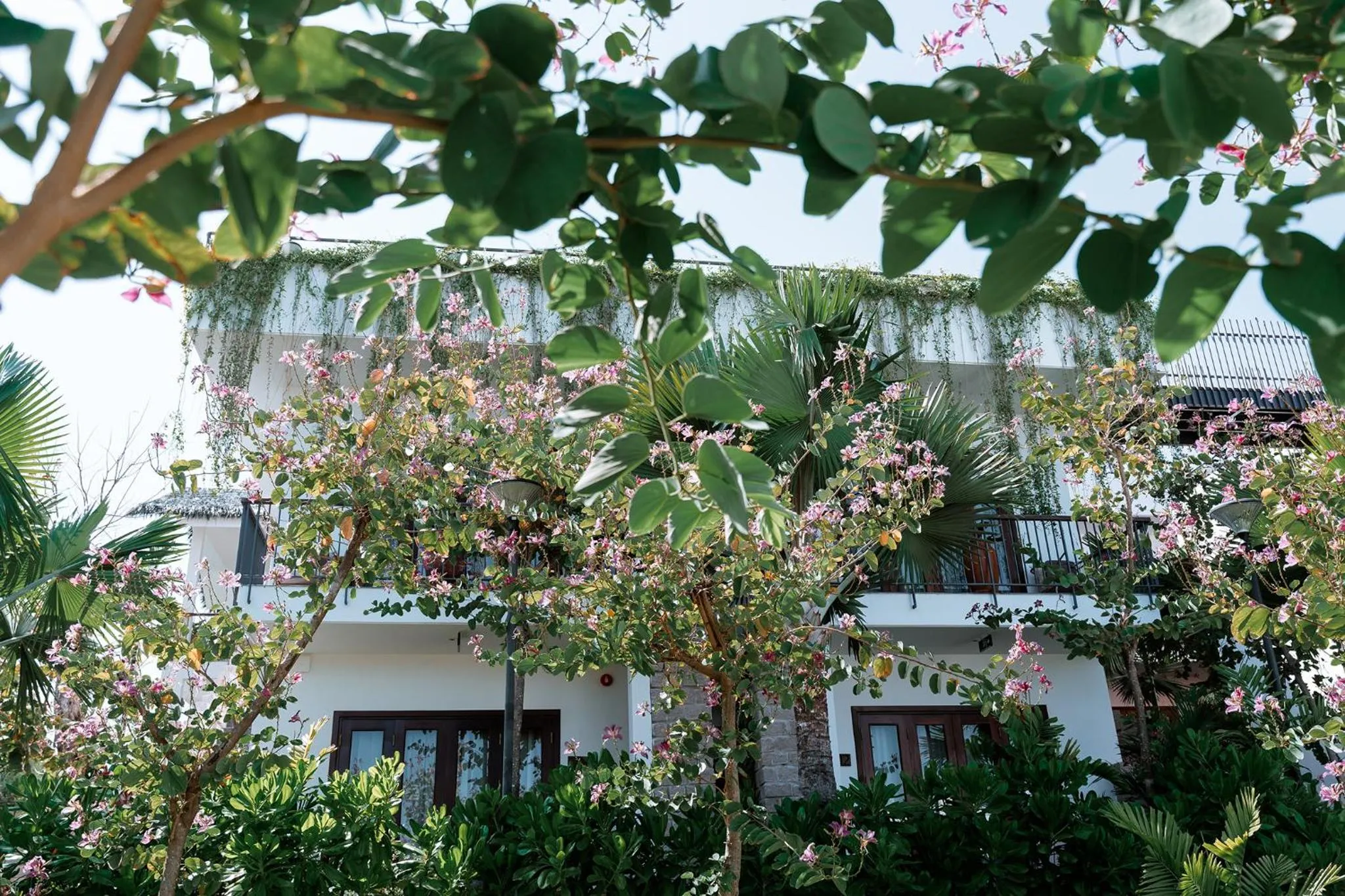 Property building in Pandora Sand Hill Mũi Né Resort