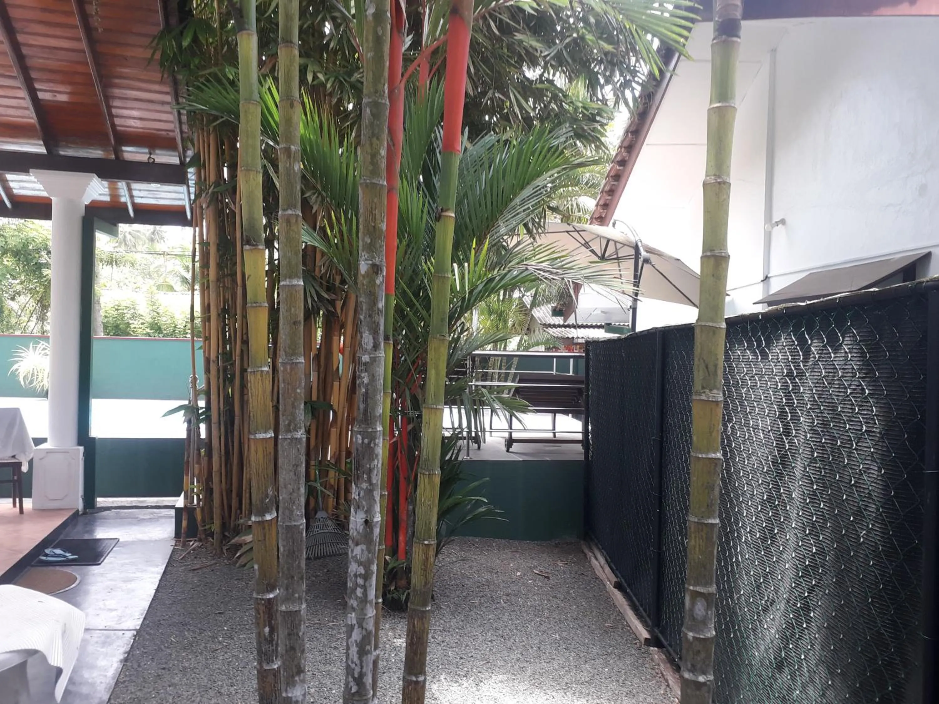 Garden in Aurelle Villa