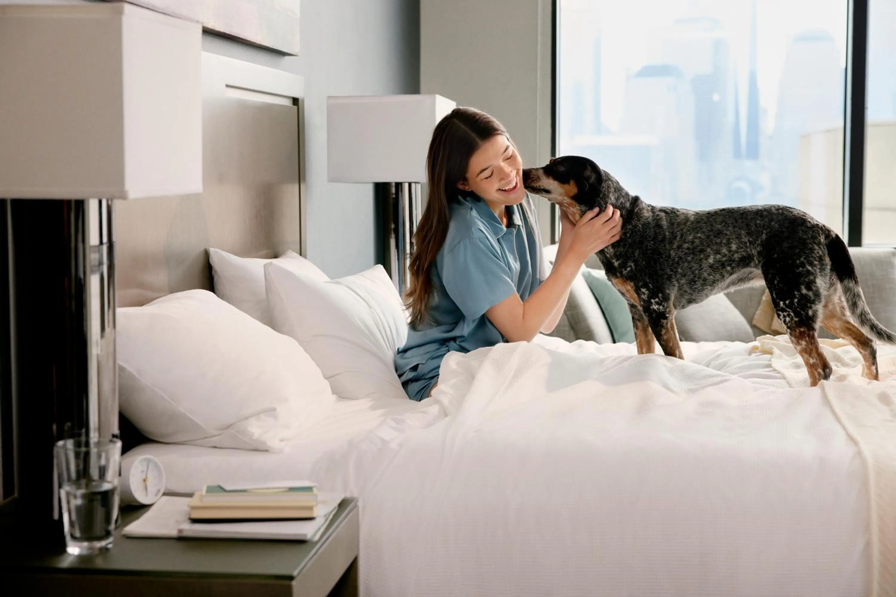 Pets, Bed in Hyatt House Bwi Airport/Baltimore