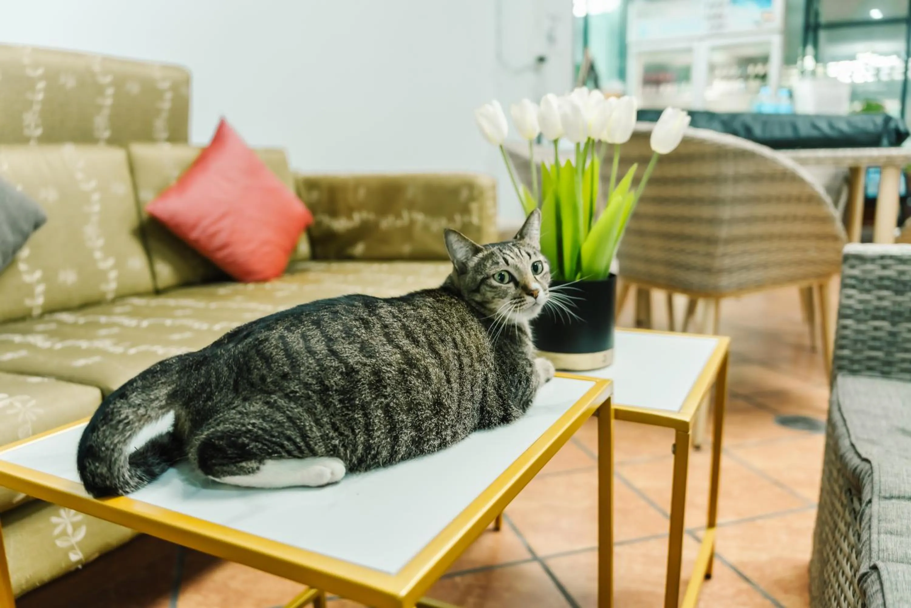 Seating area in Saiyuan Residence Phuket