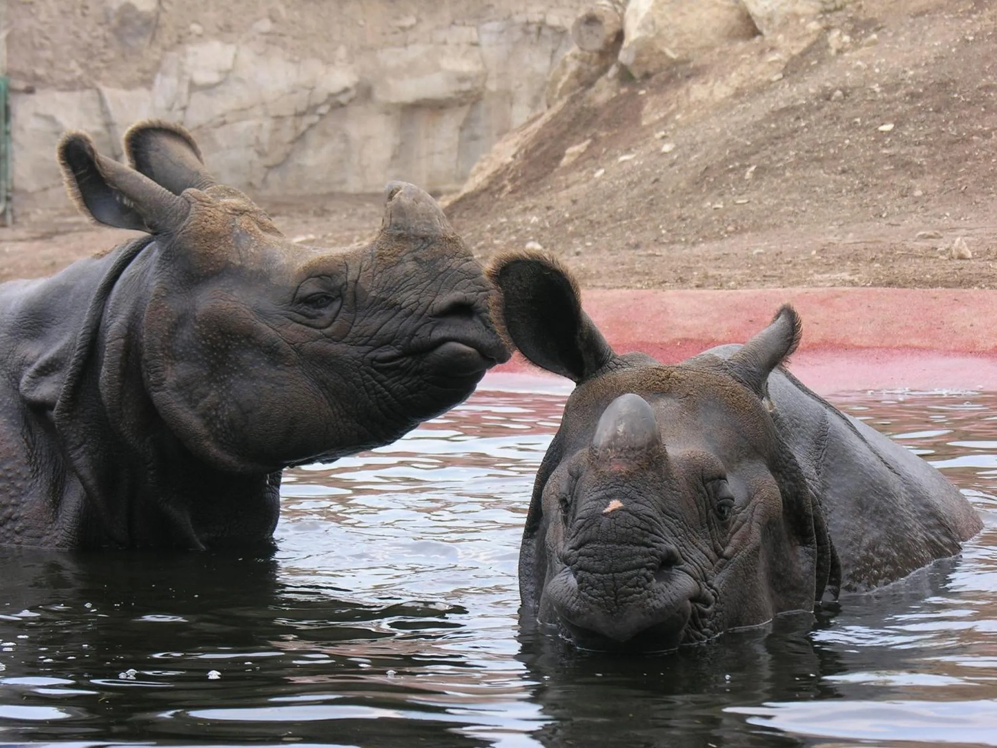 Other in Magic Natura Resort