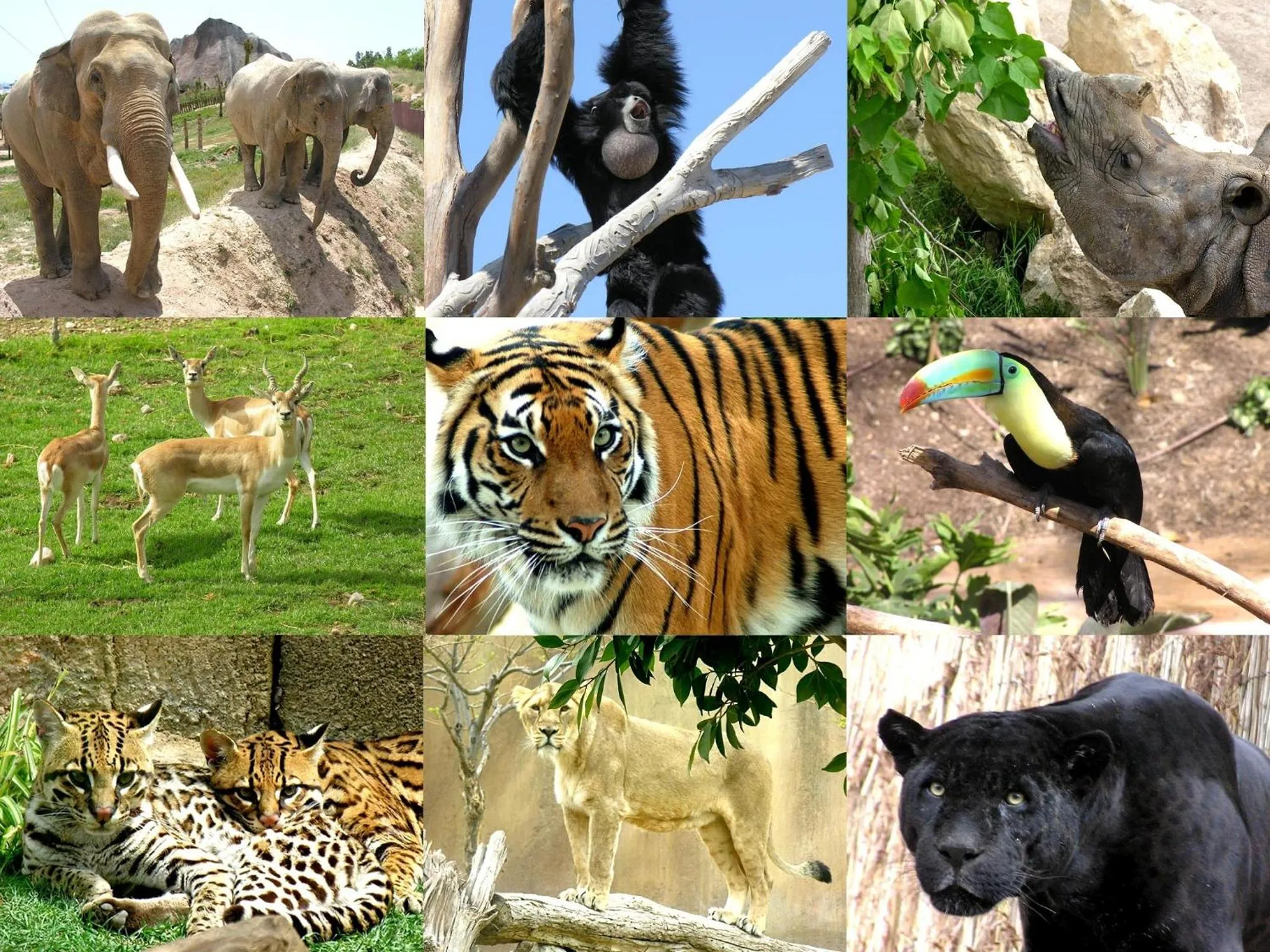 Other in Magic Natura Resort