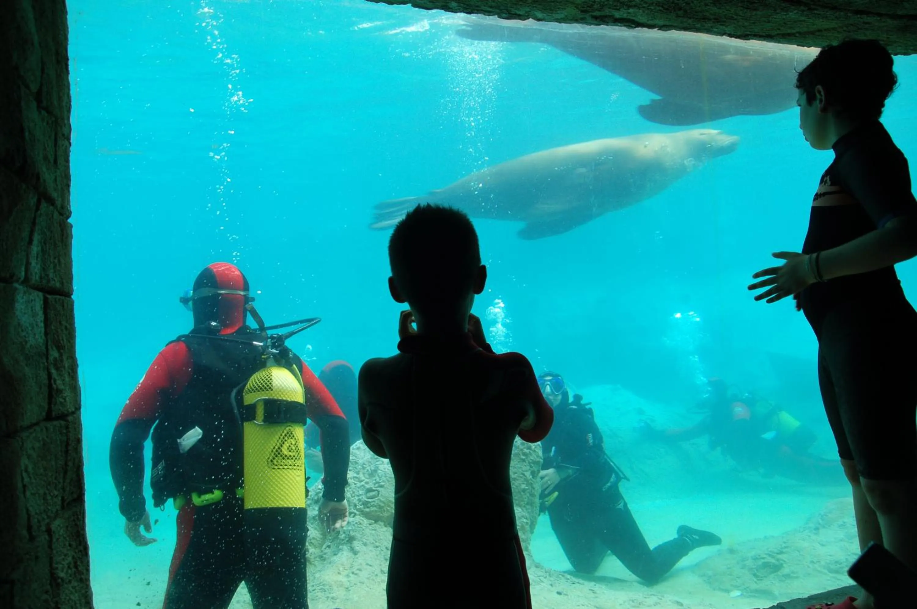 People in Magic Natura Resort