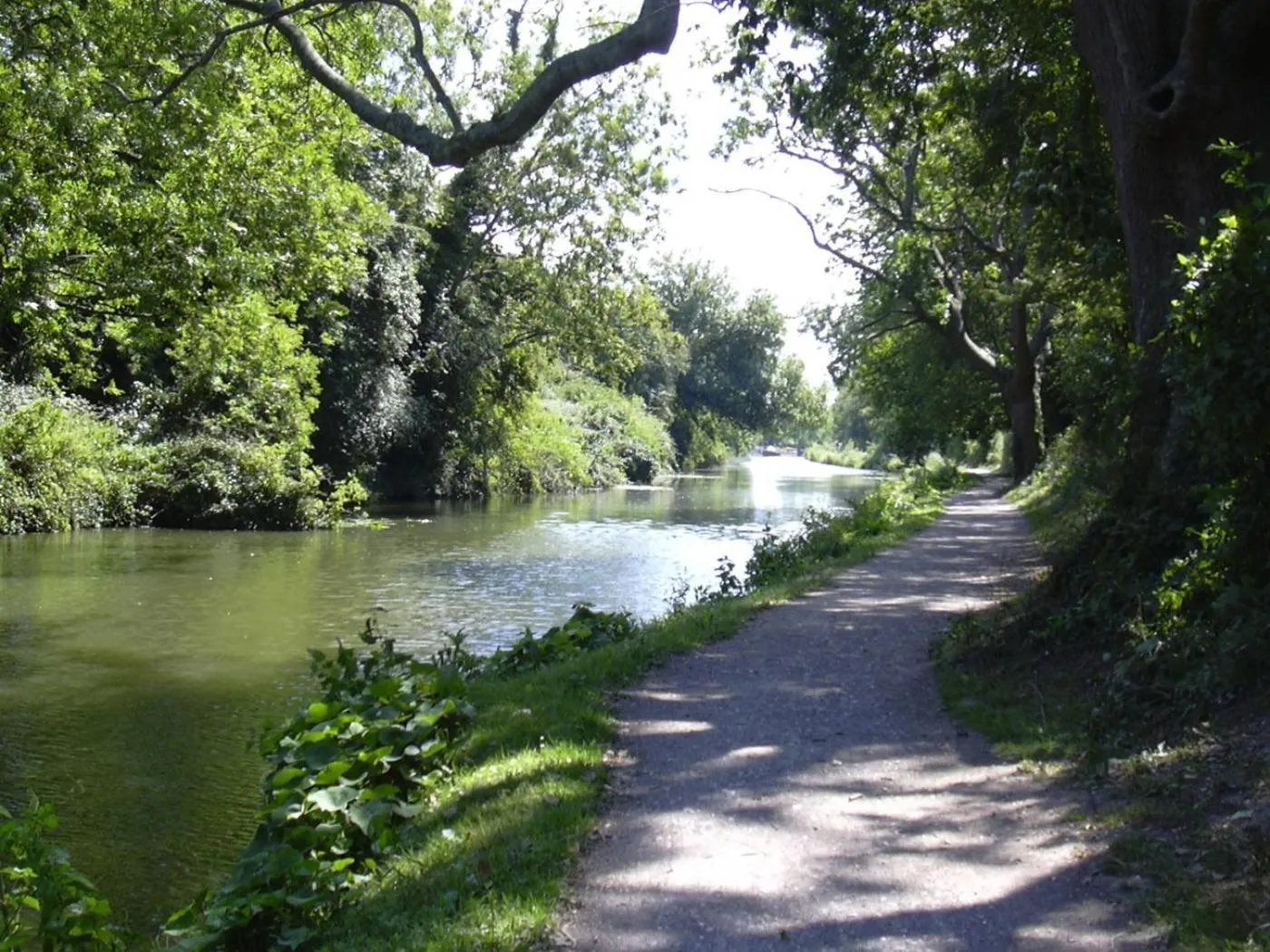 Natural landscape in East Pallant Bed and Breakfast, Located in Large Georgian Townhouse in Central Chichester