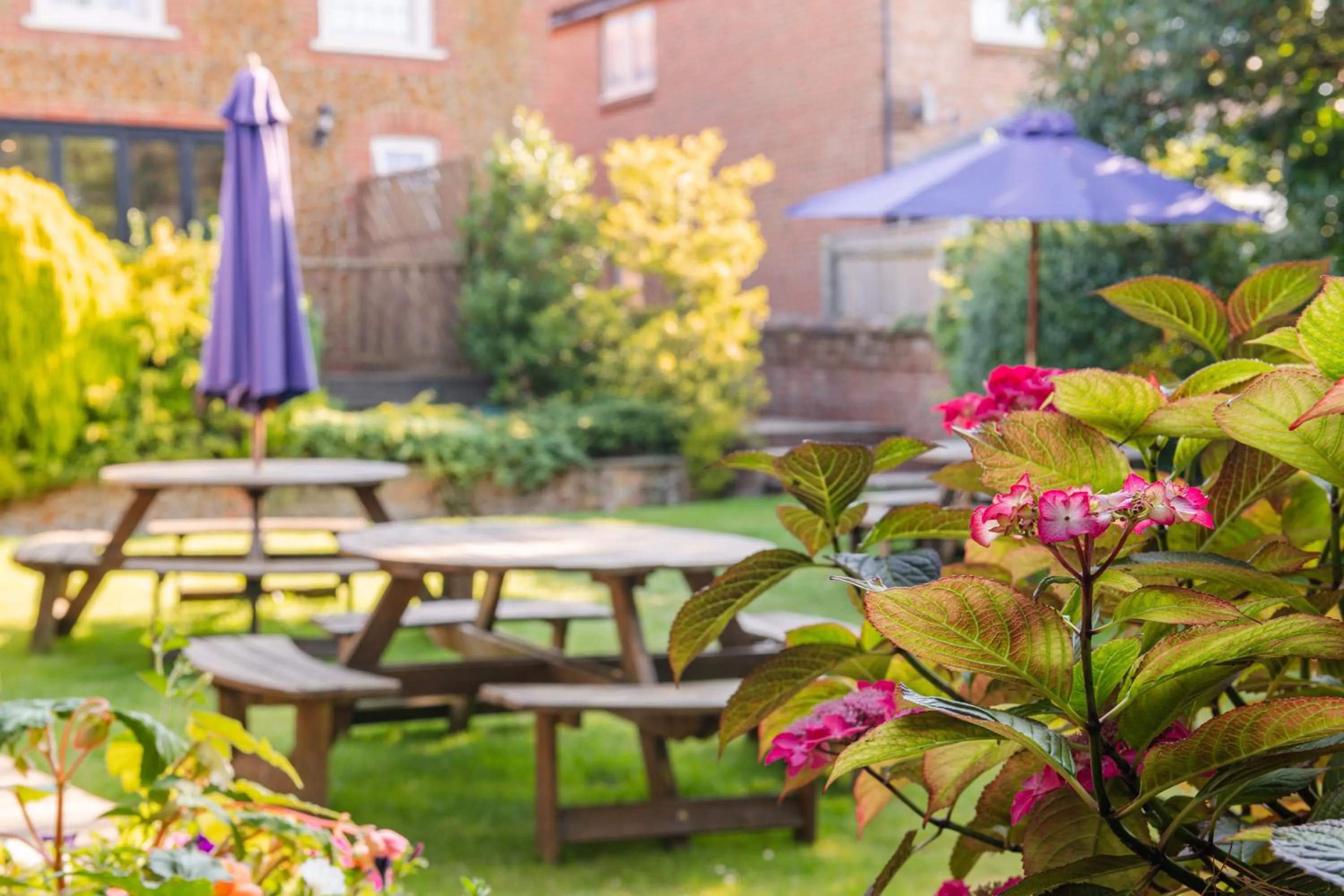 The King William IV - The Coaching Inn Group