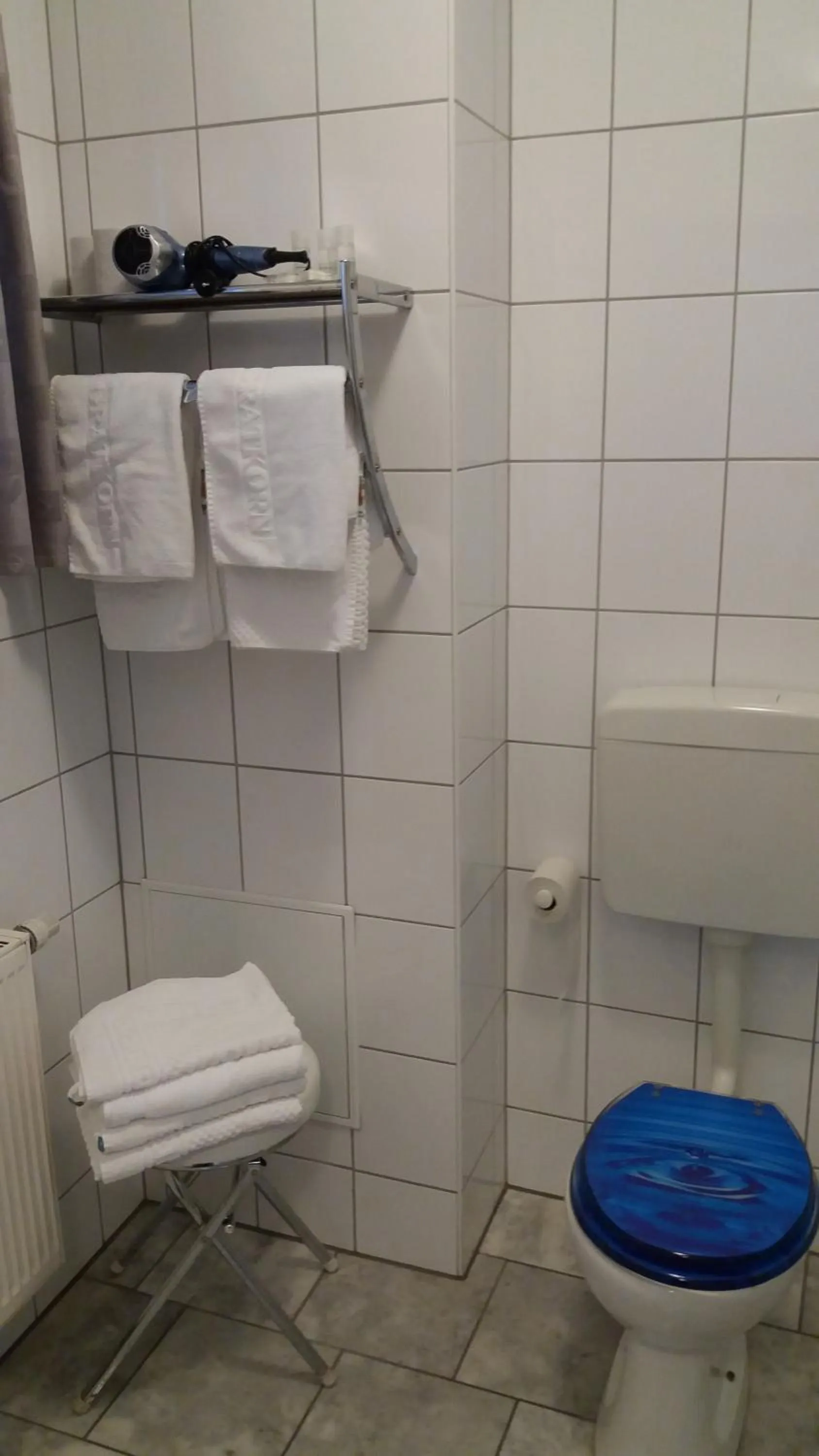 Toilet in Hotel Gratkorn - "Bed & Breakfast"