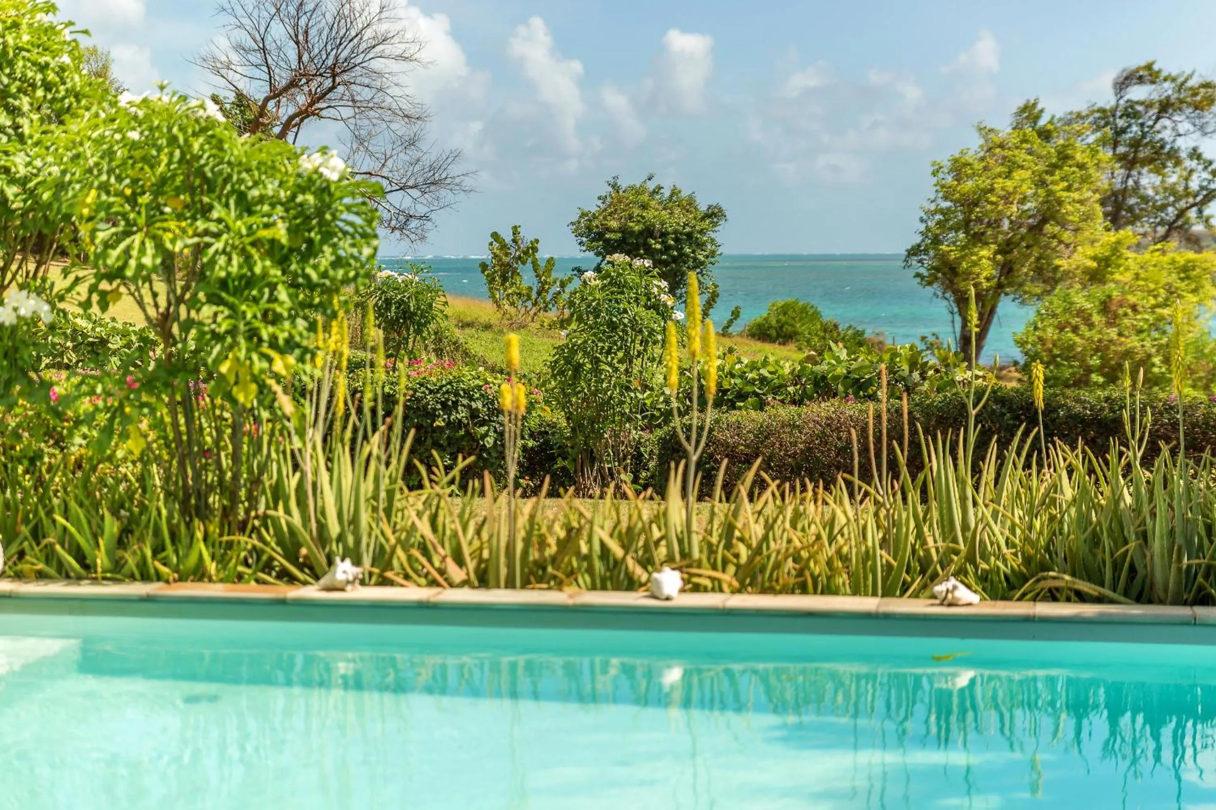 Pool view in Villas Palm