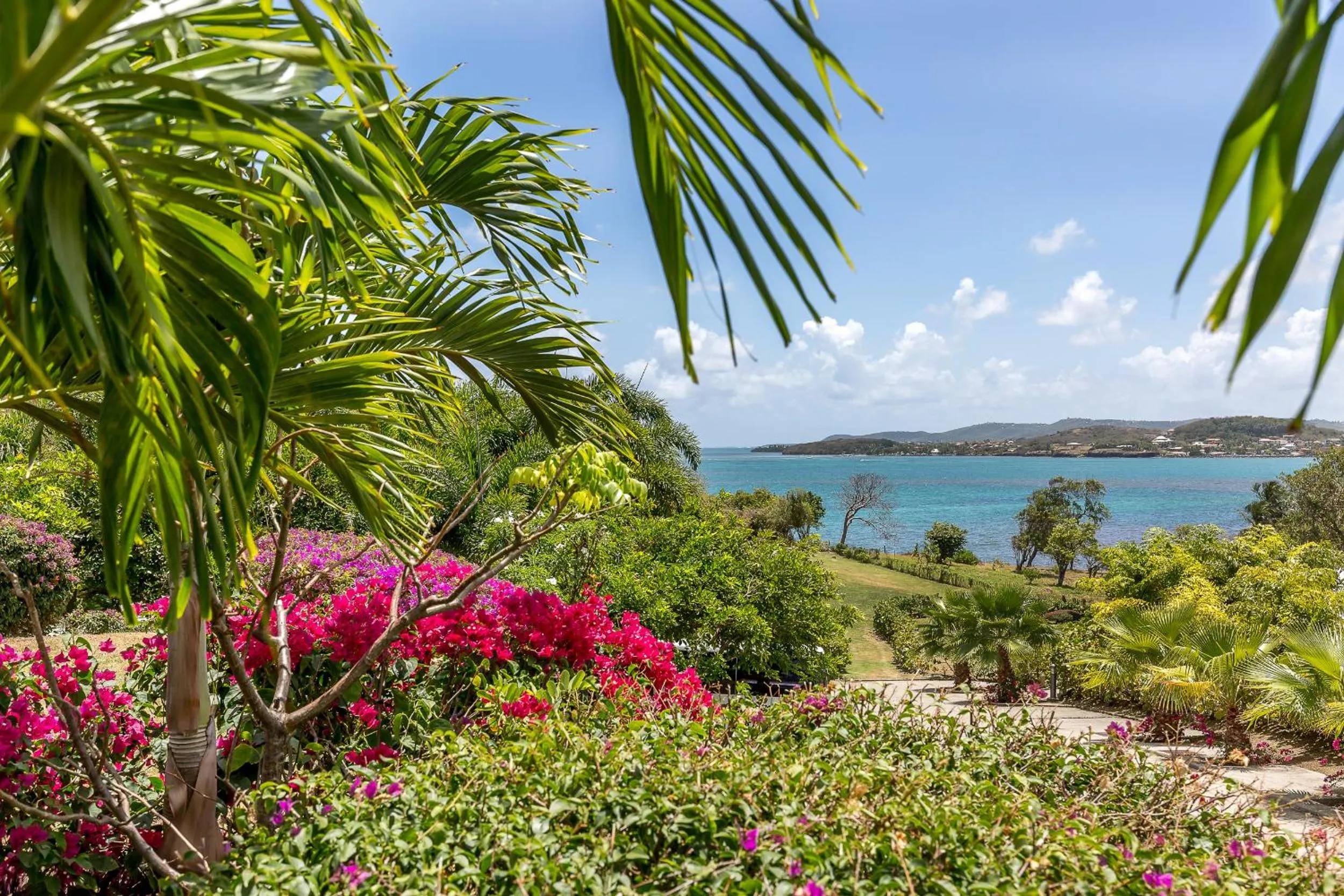 Natural landscape in Villas Palm