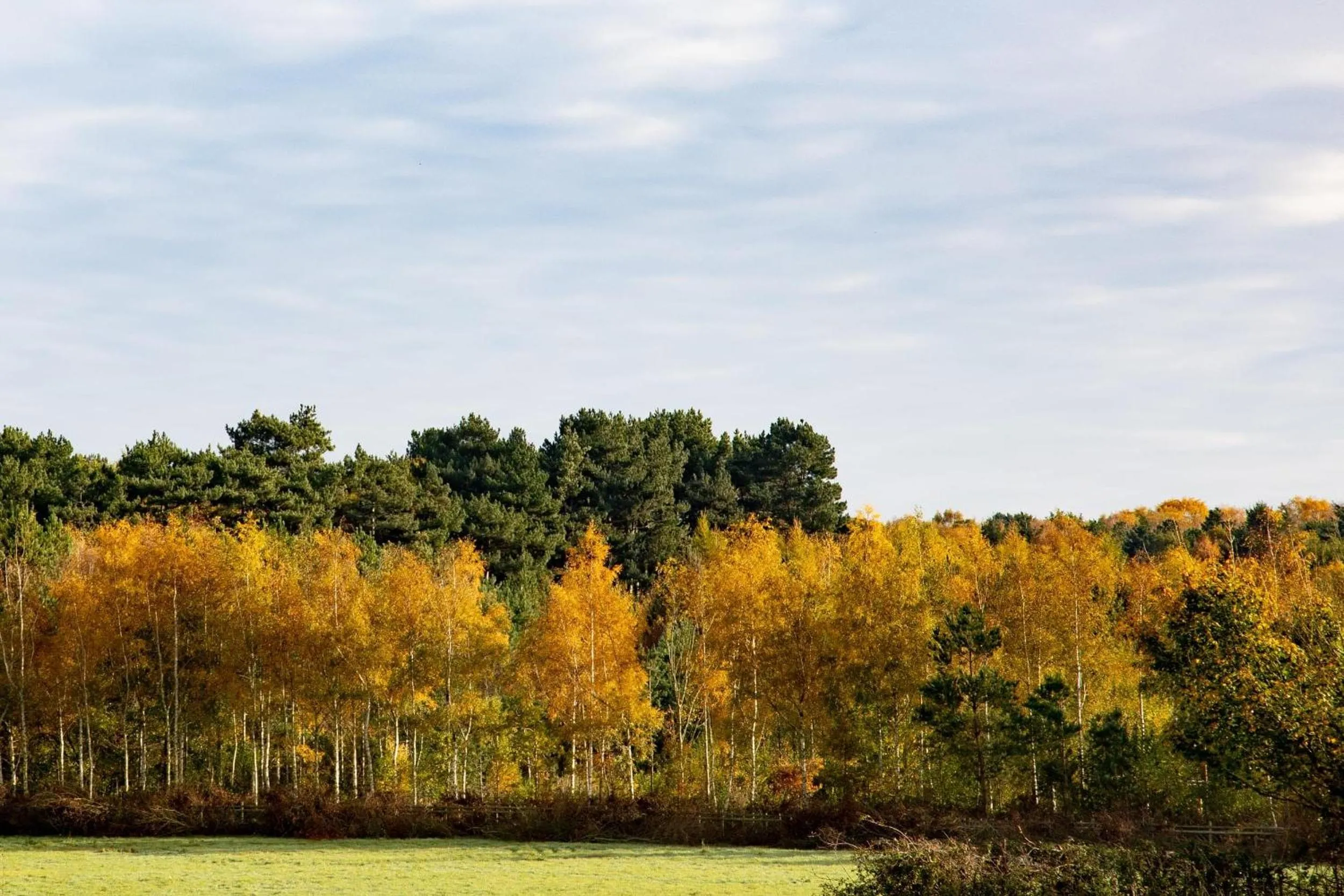 Area and facilities in Best Western Premier EMA Yew Lodge Hotel