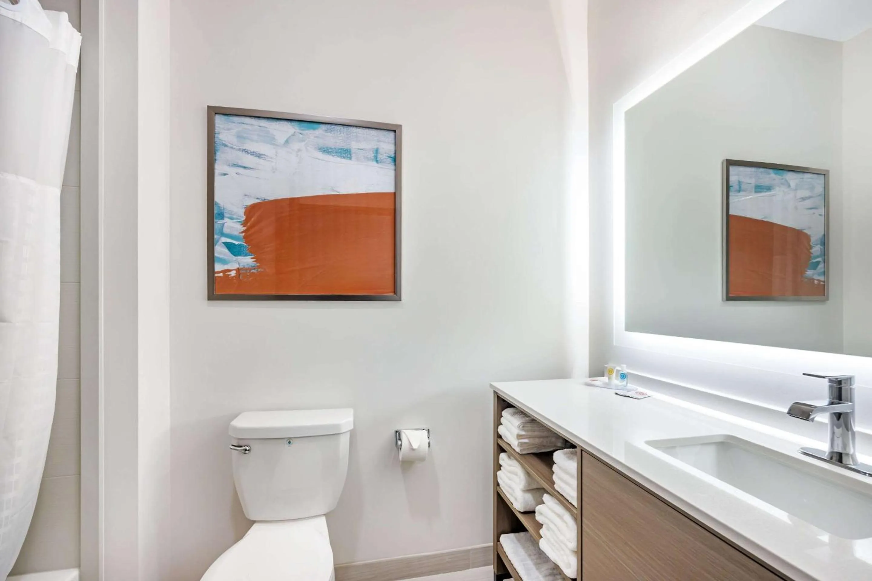 Bathroom in Comfort Inn & Suites Nashville