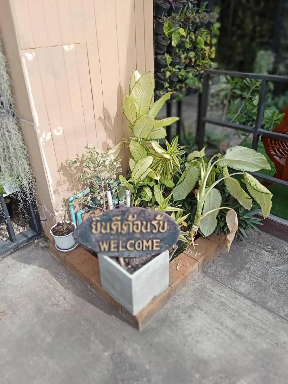 Property building in TC House