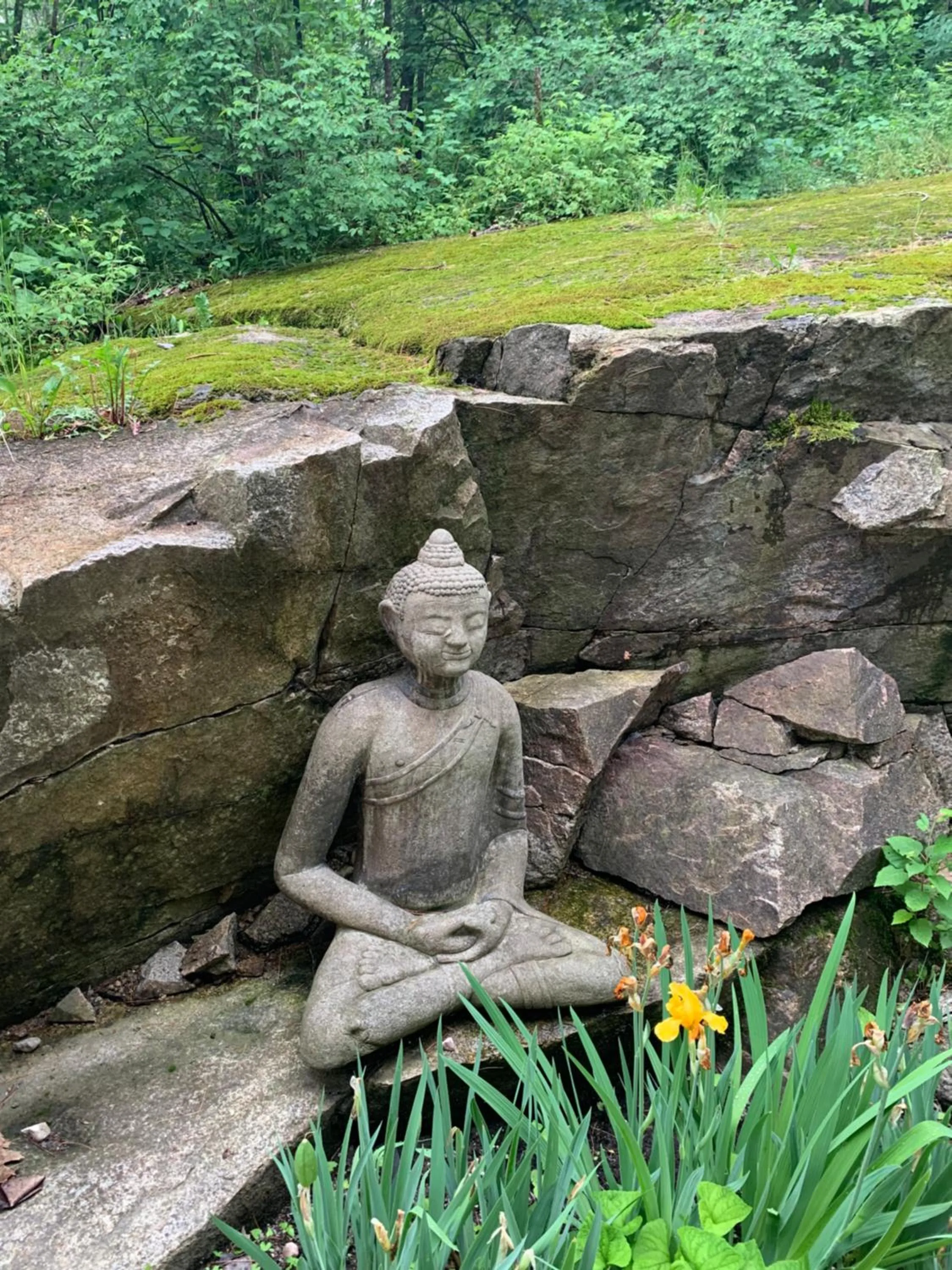 Property building in Belle de Nuit