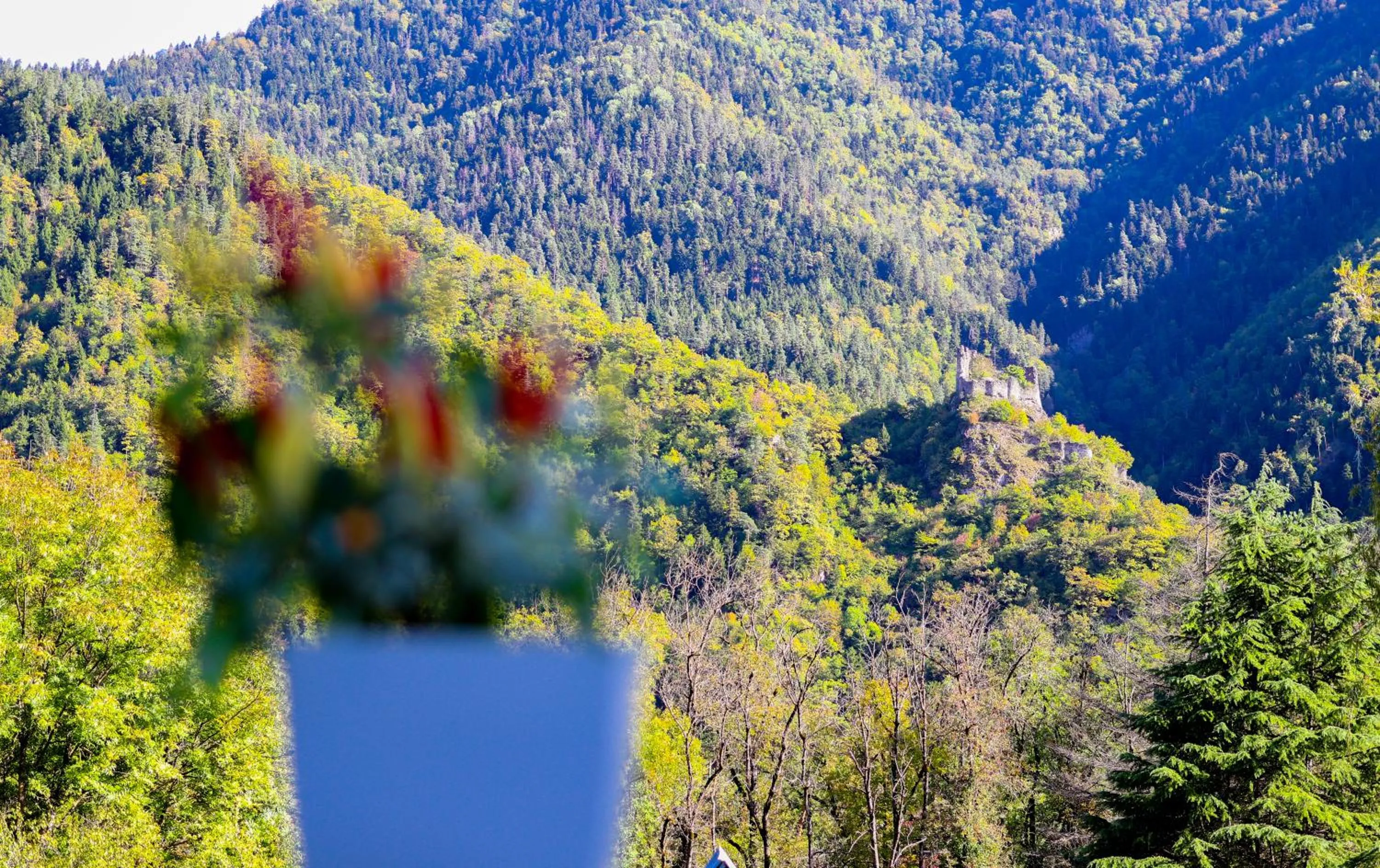 View (from property/room) in Emerald Borjomi Hotel