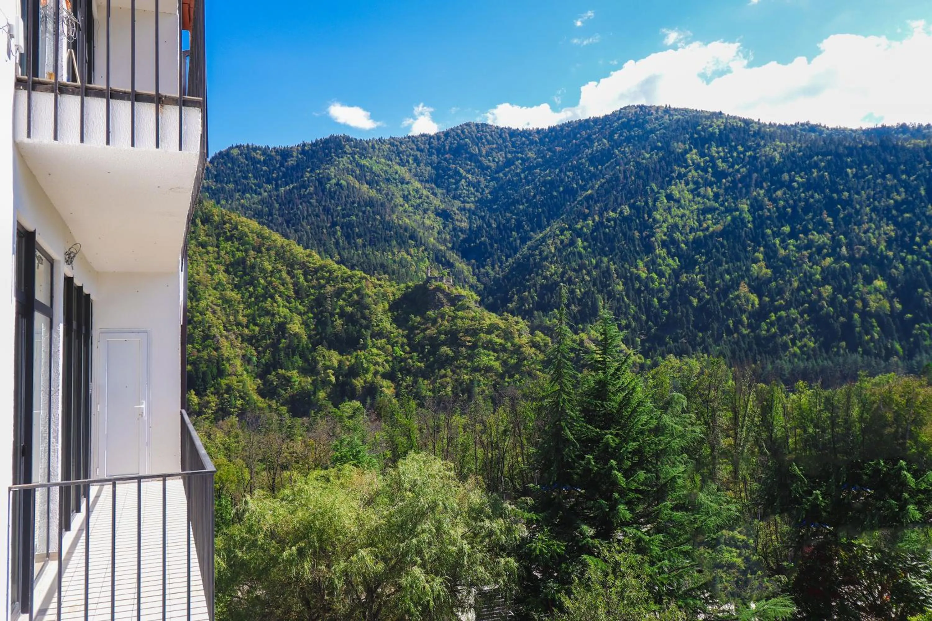 View (from property/room) in Emerald Borjomi Hotel