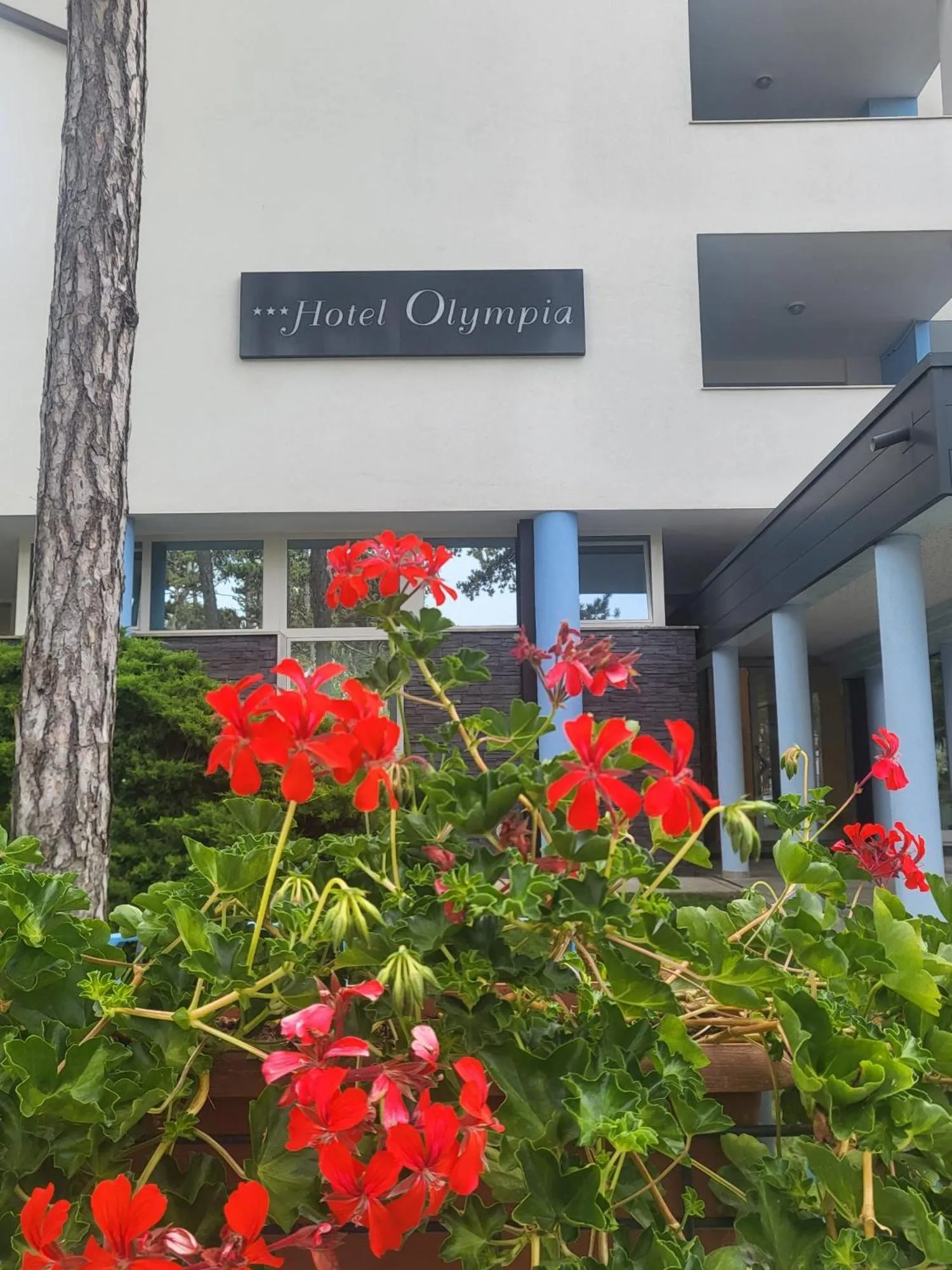Hotel Olympia