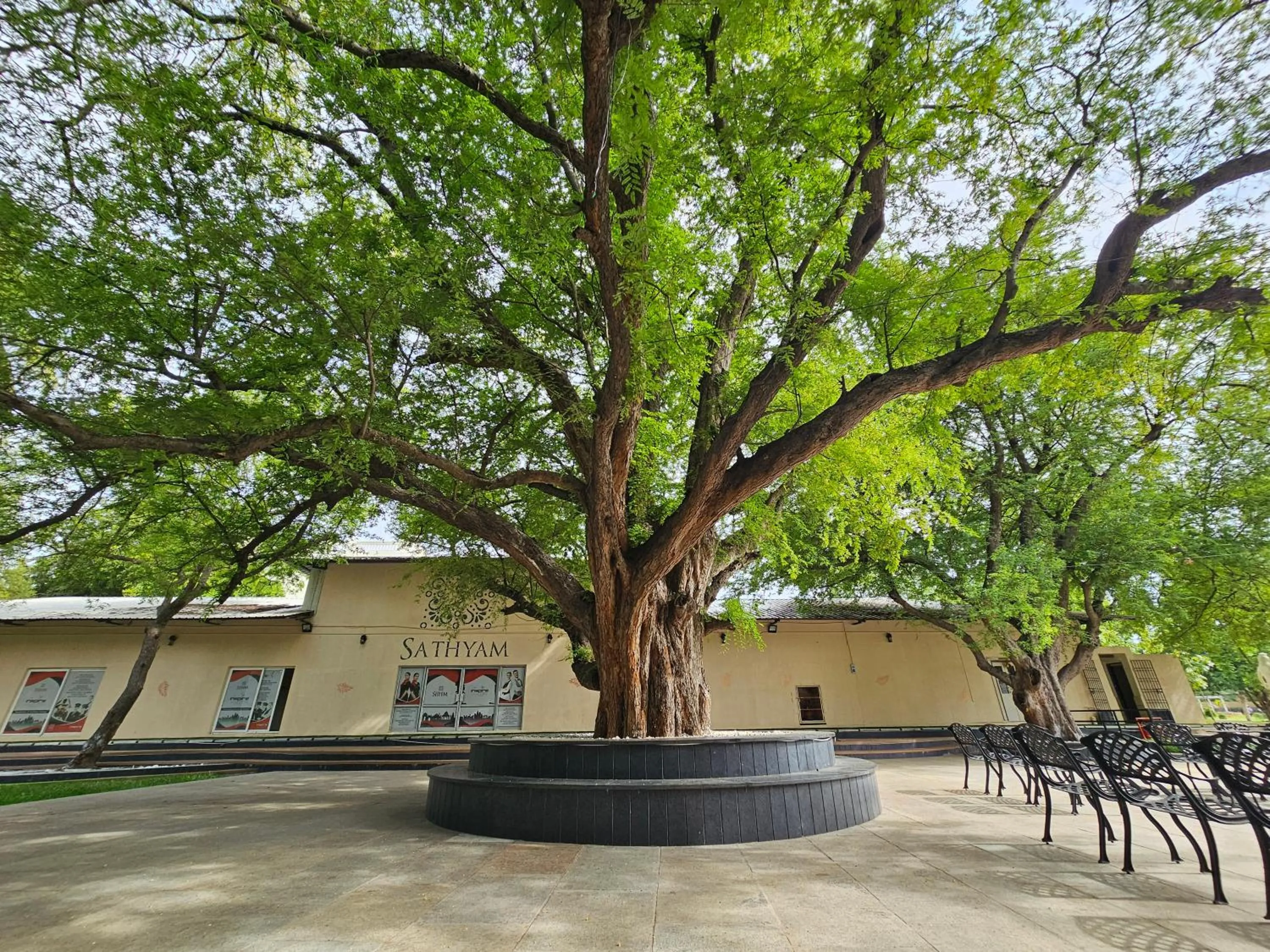 Natural landscape in Sathyam Grand Resorts, Sriperumbudur