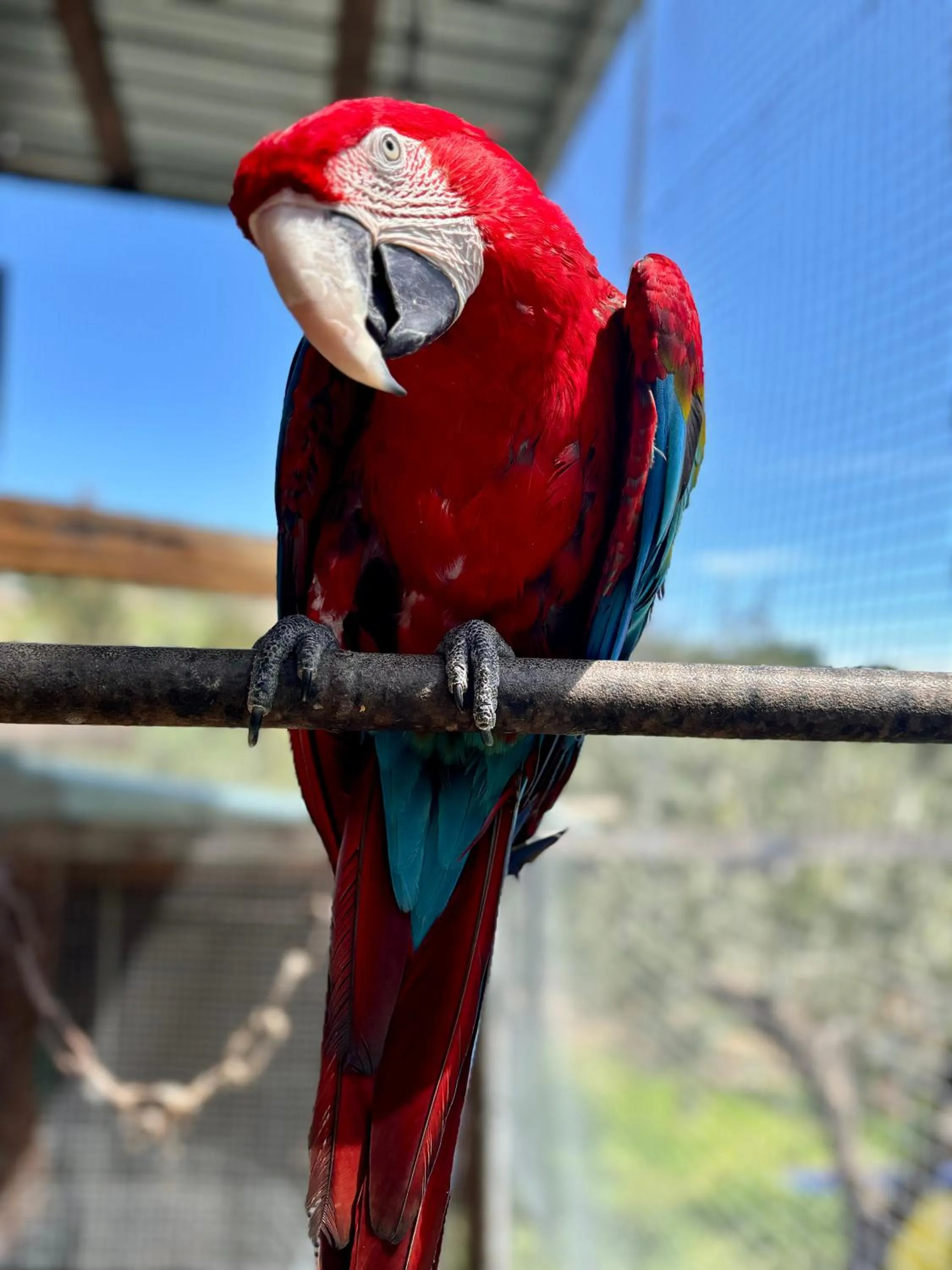 Casale delle Rose B&B Fattoria