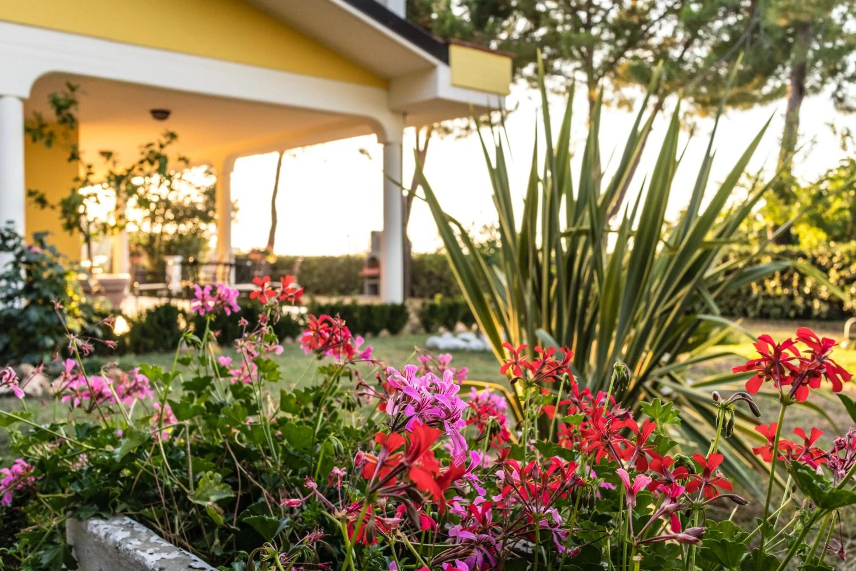 Property building in Casale delle Rose B&B Fattoria