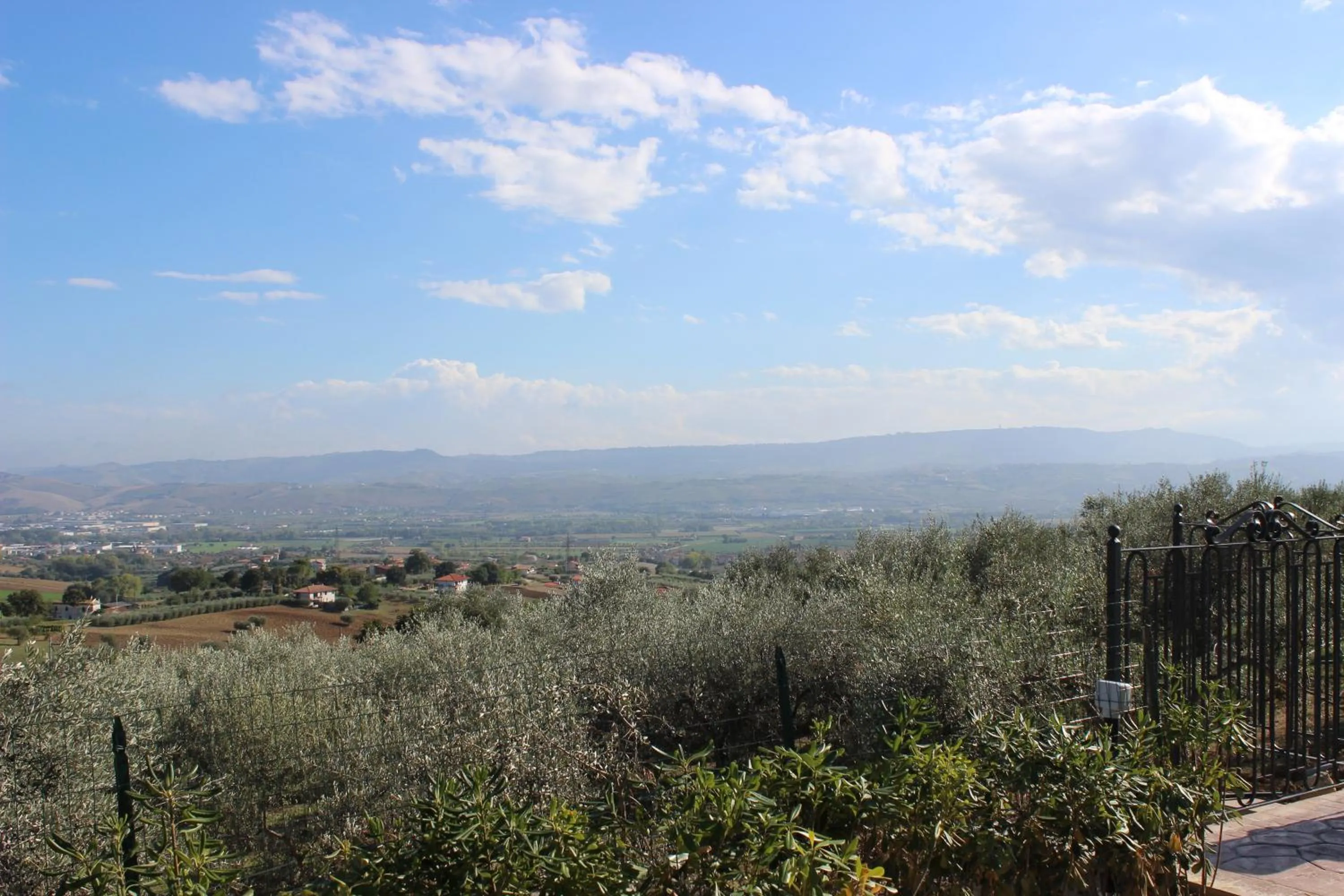 Balcony/Terrace in Casale delle Rose B&B Fattoria