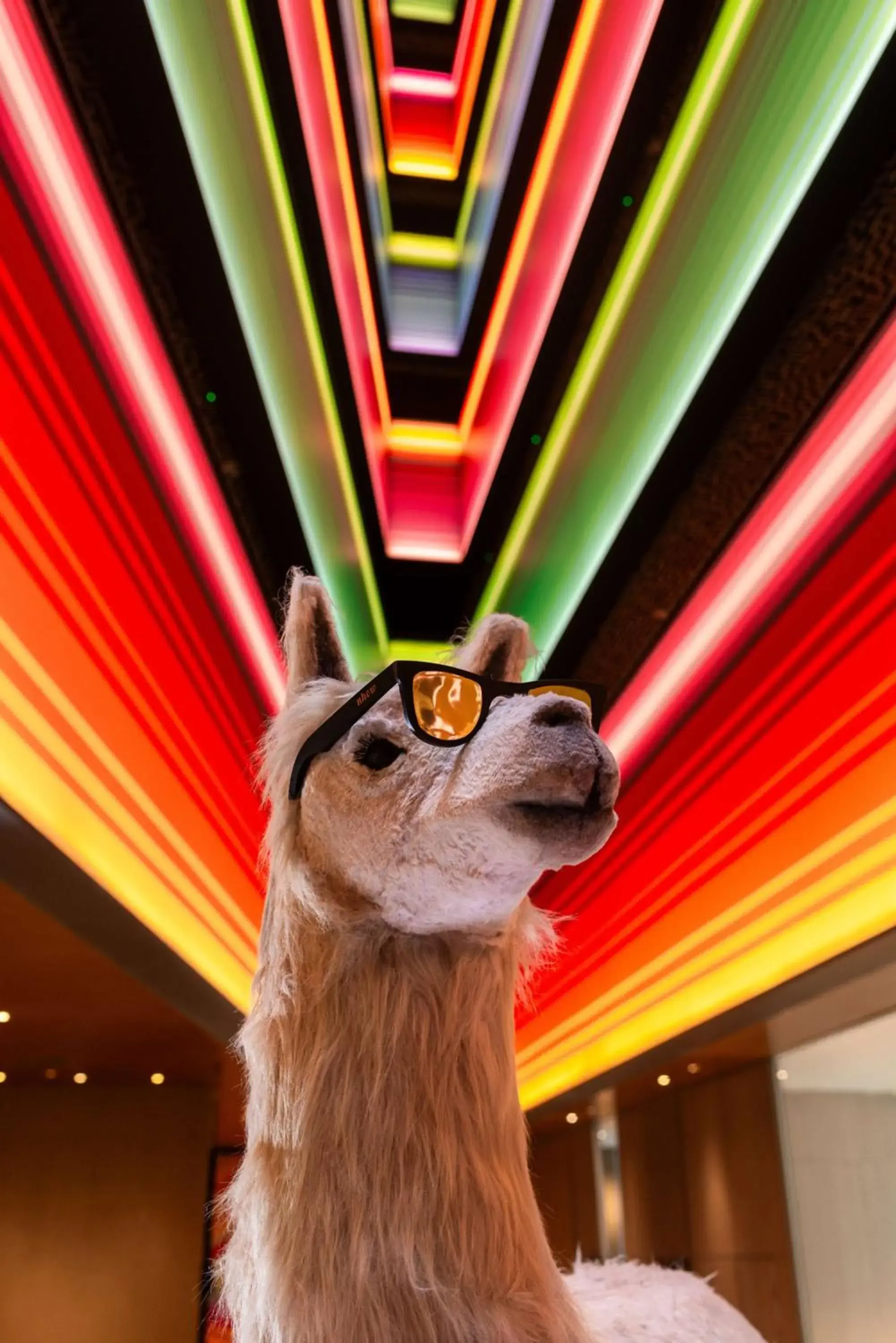 Lounge or bar in Nhow Lima Lounge or bar in Nhow Lima