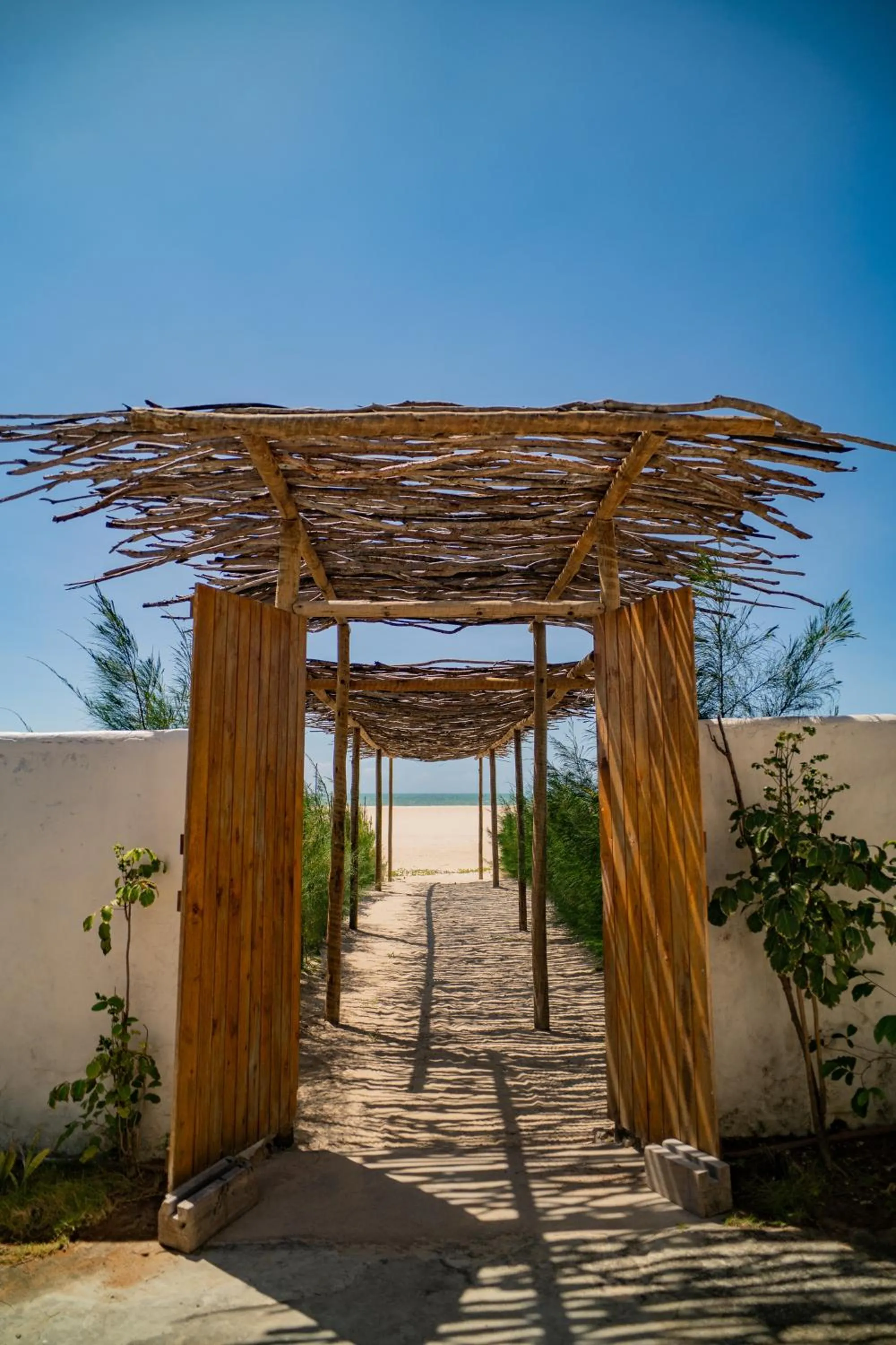 Day in Zebra Boutique Hotel