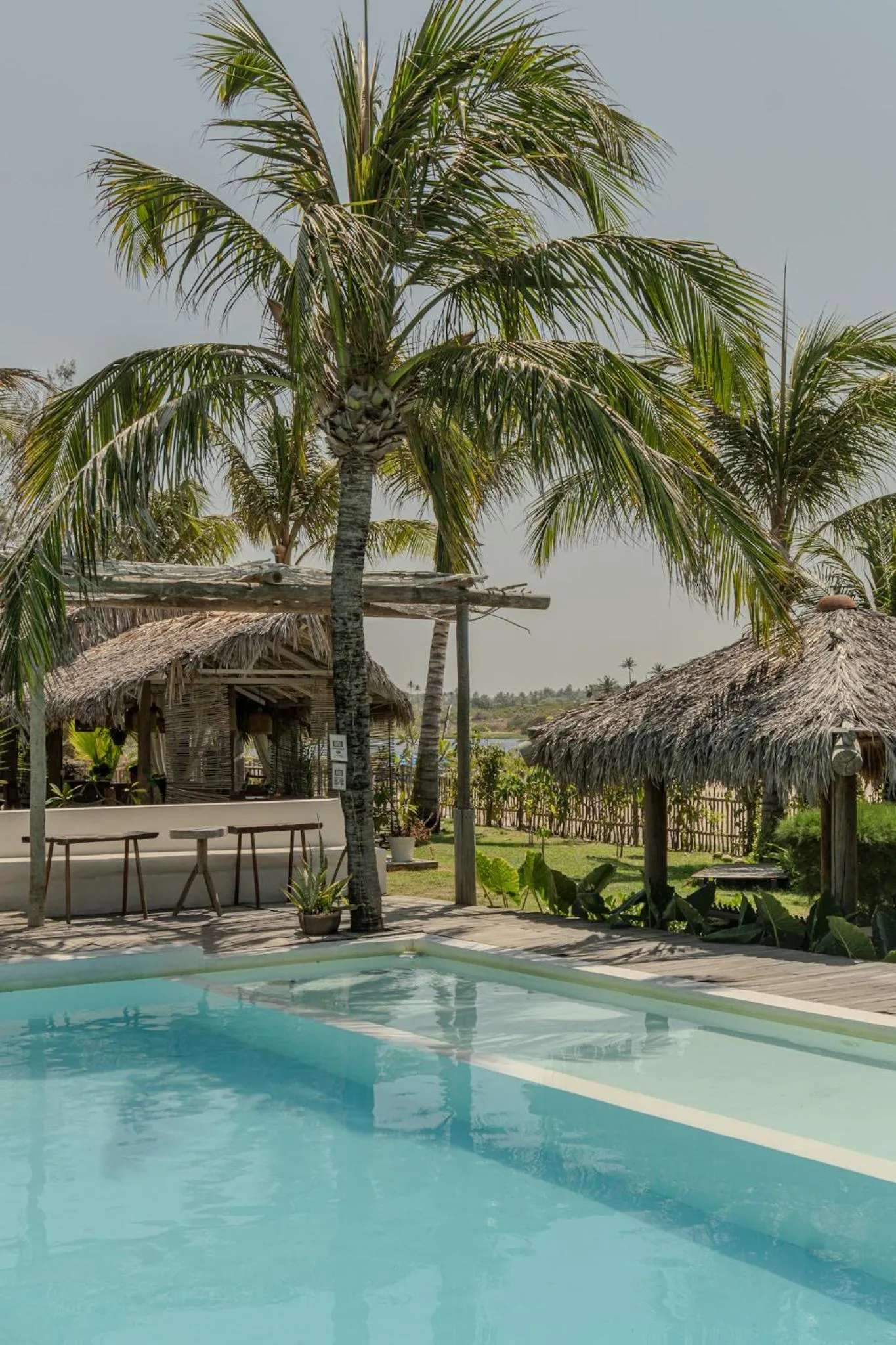 Swimming pool in Zebra Boutique Hotel