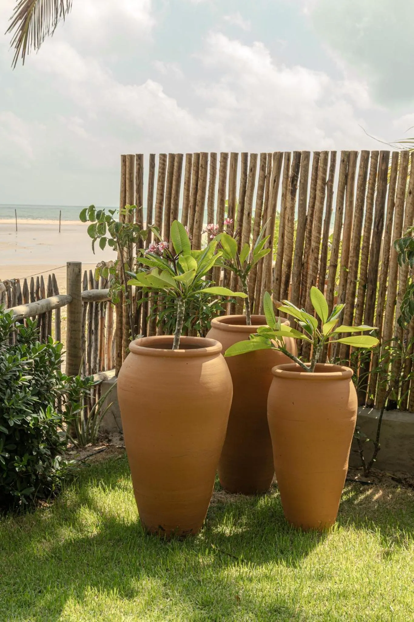 Day in Zebra Boutique Hotel