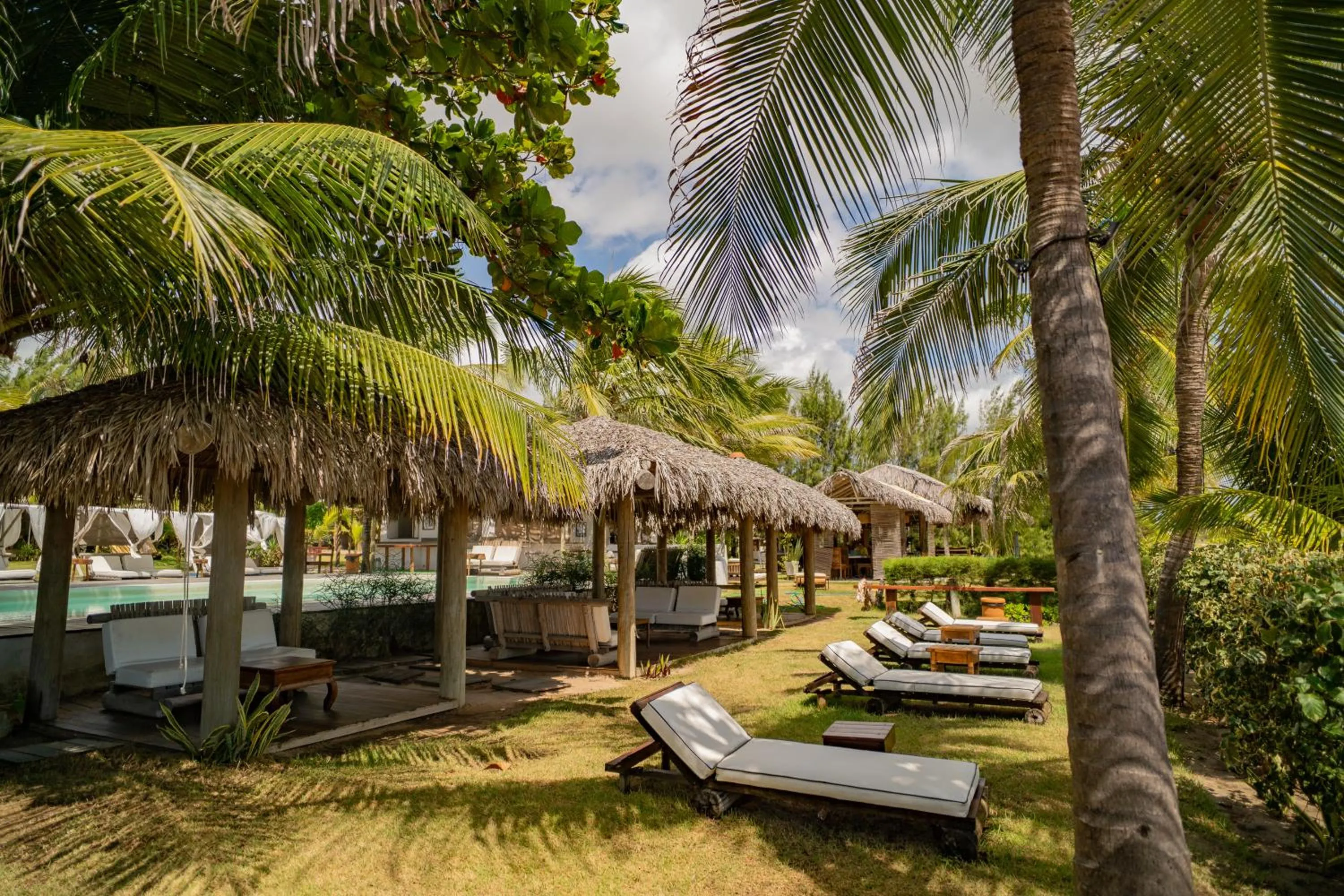 Garden in Zebra Boutique Hotel