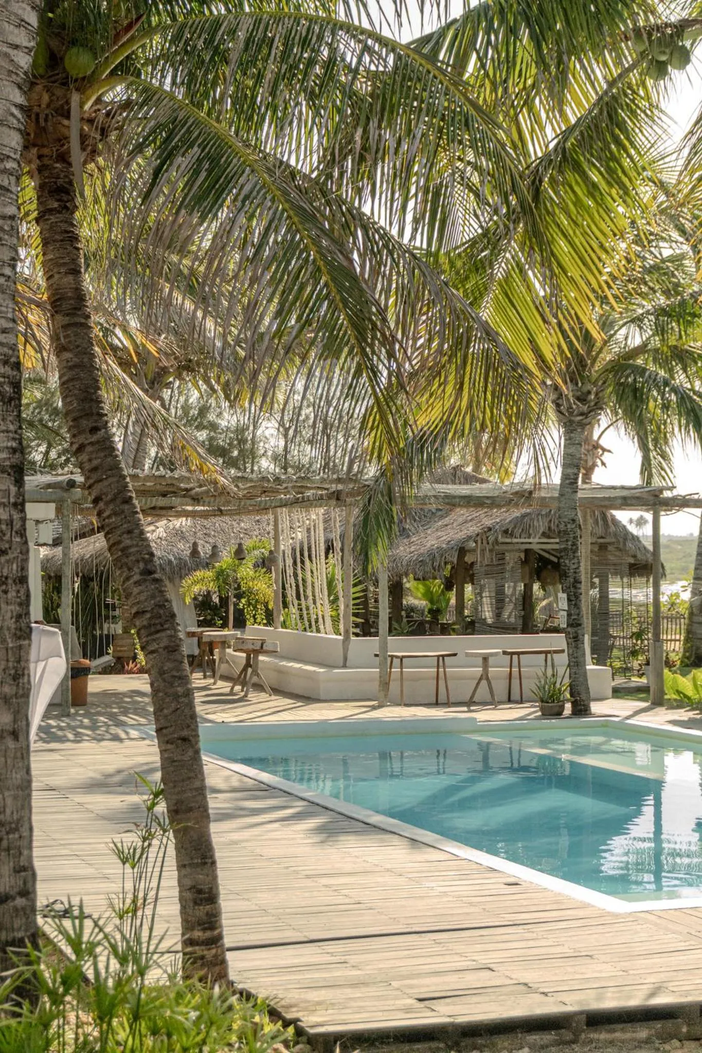Swimming pool in Zebra Boutique Hotel