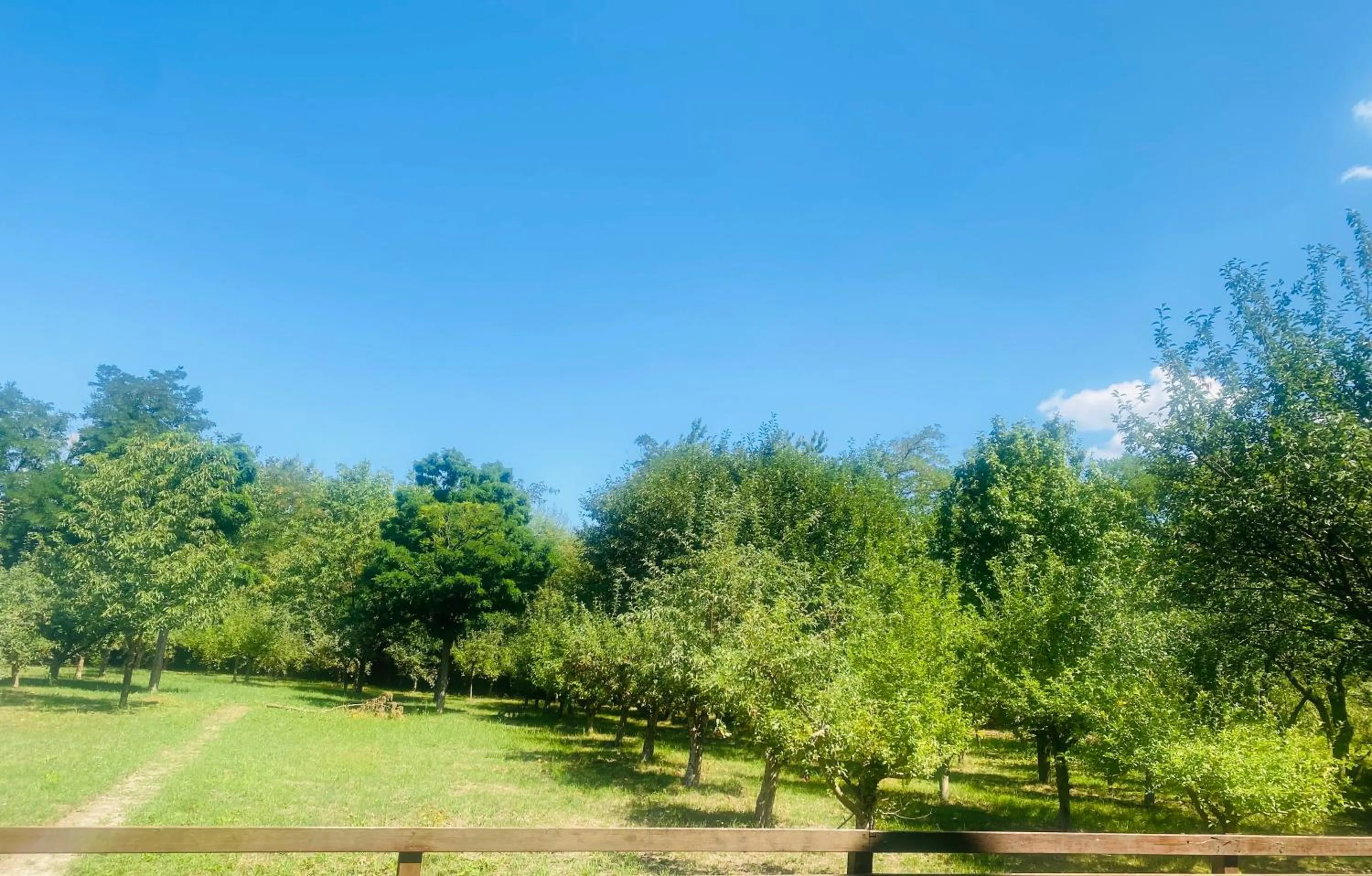 Garden view in Muha ApartHotel